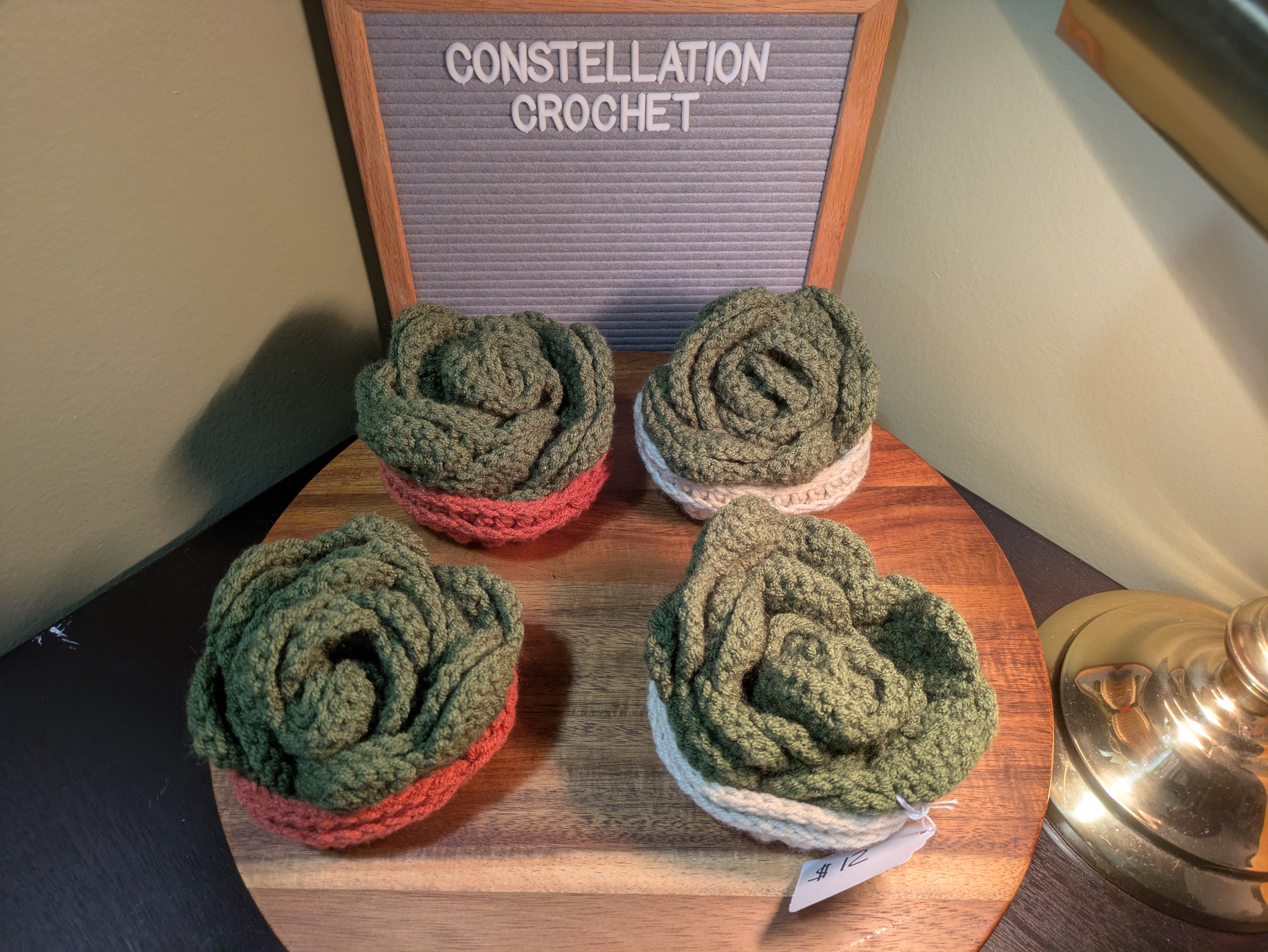 Succulent Plant Coasters