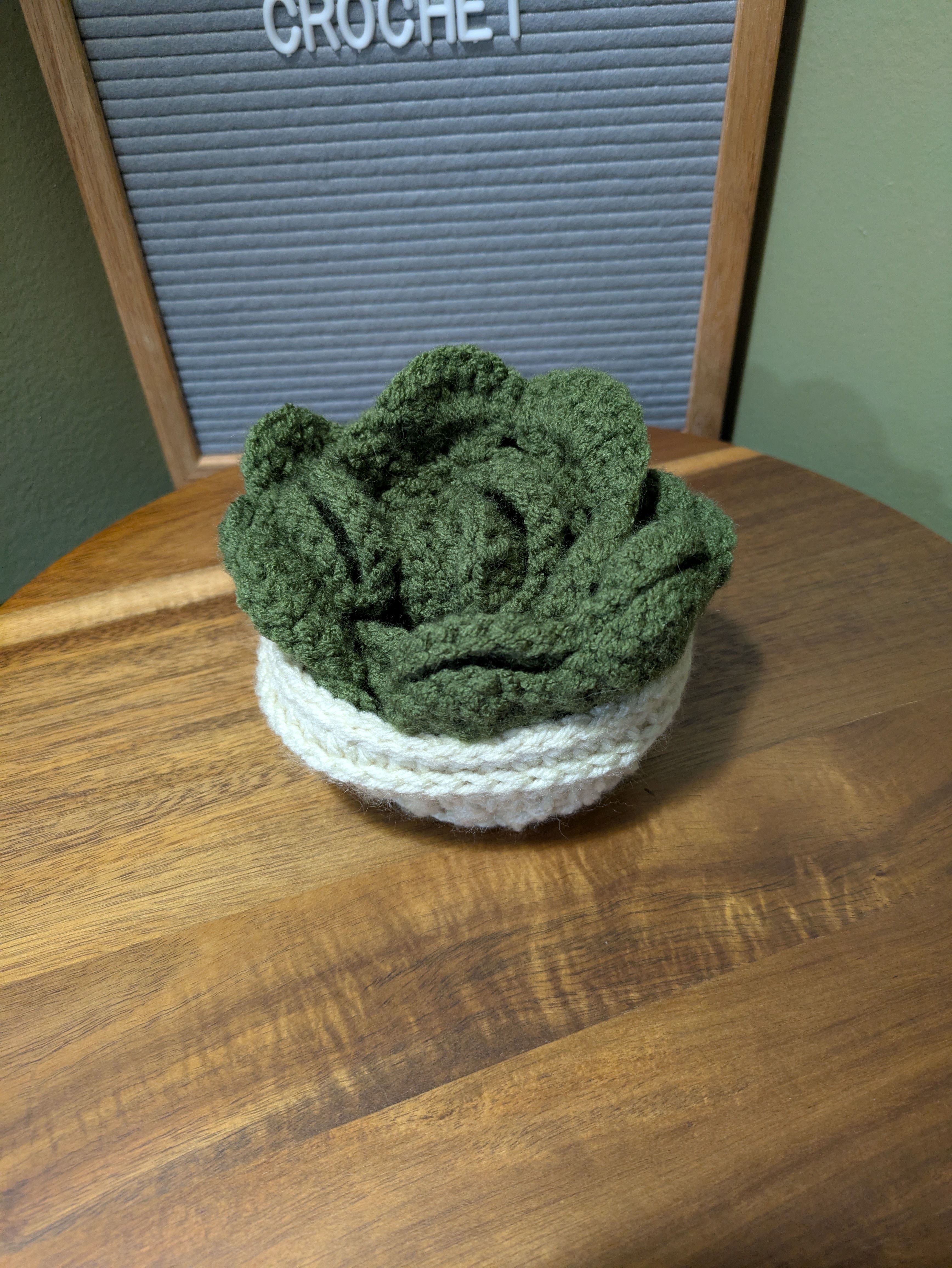 Succulent Plant Coasters