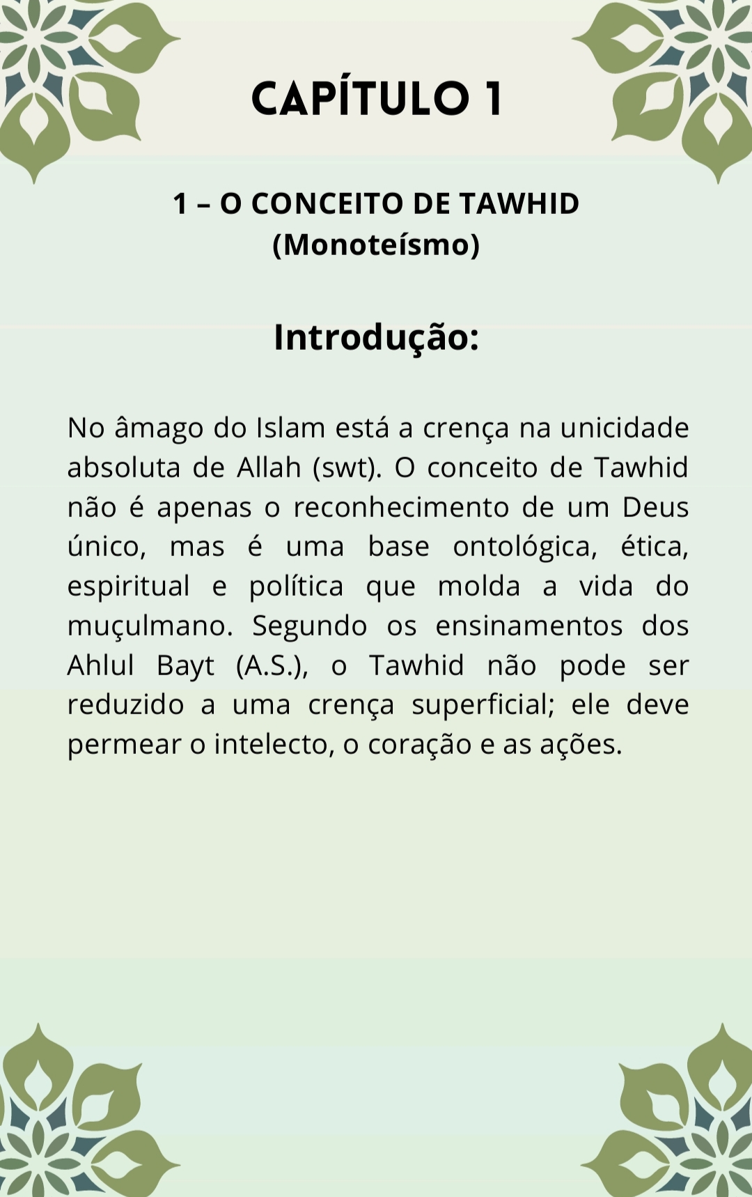 Xiismo em Foco 