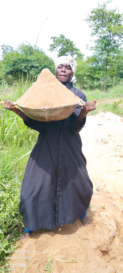 Support the SSIH Mission