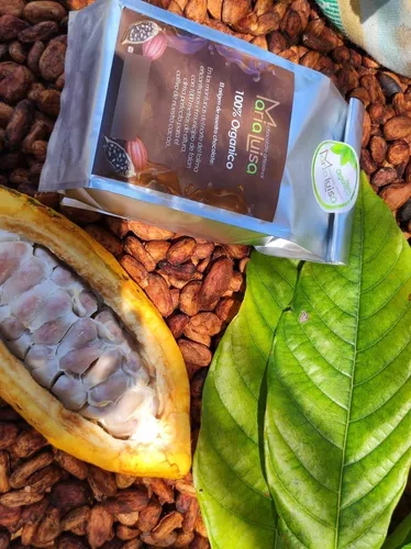 Cacota ( fruto de cacao ) 
