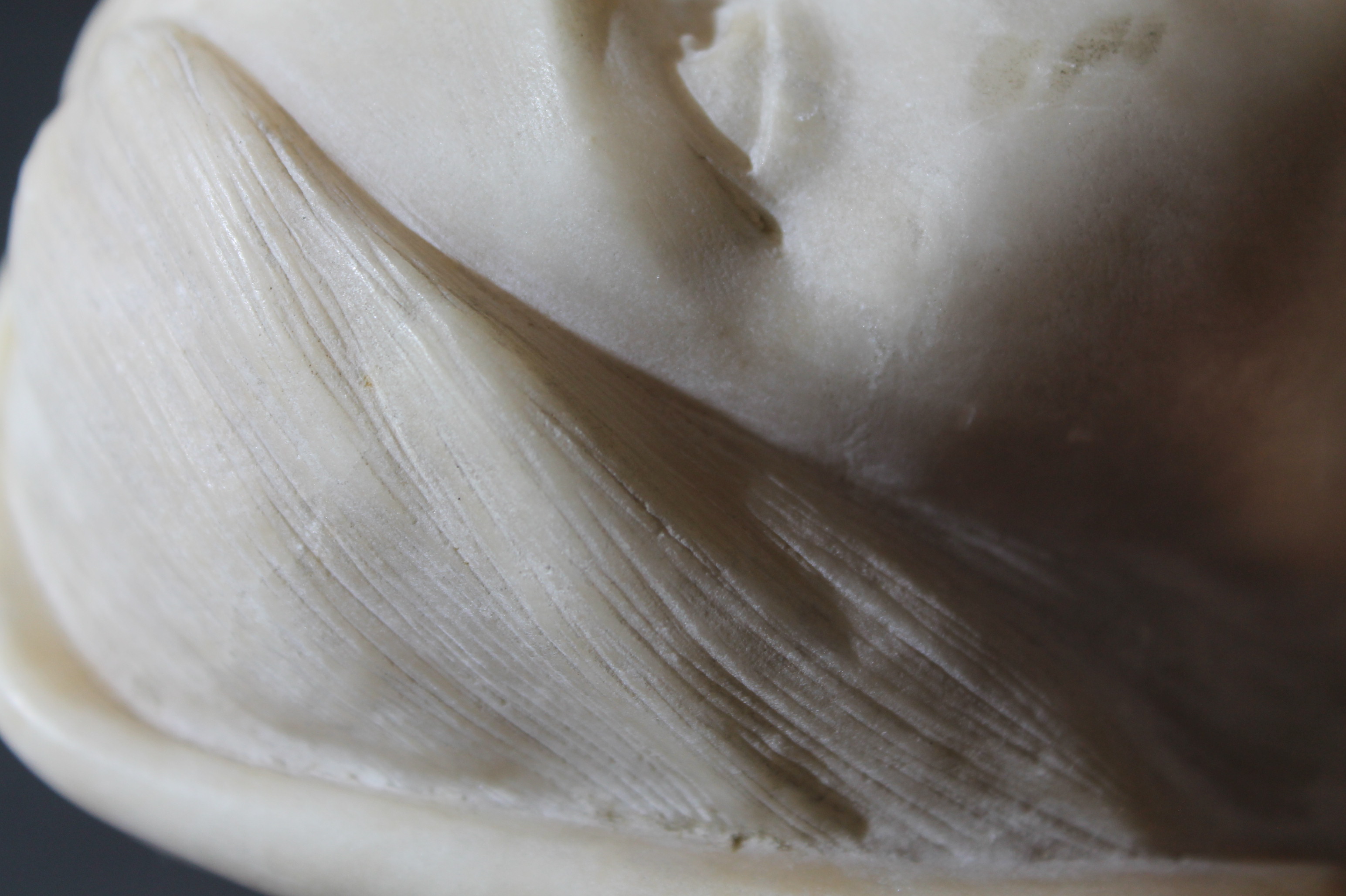 19tn Century Marble Bust