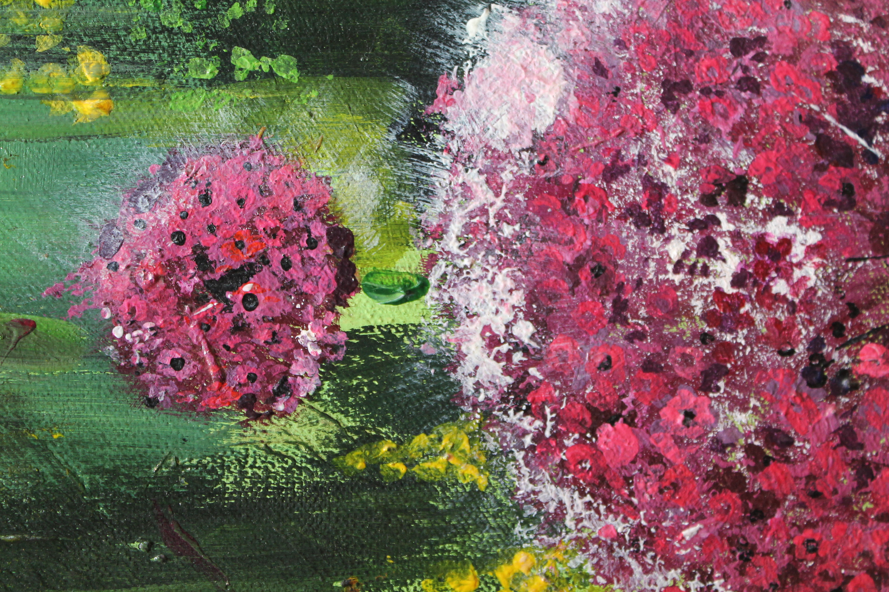 D. Gordon.The  Allium rush