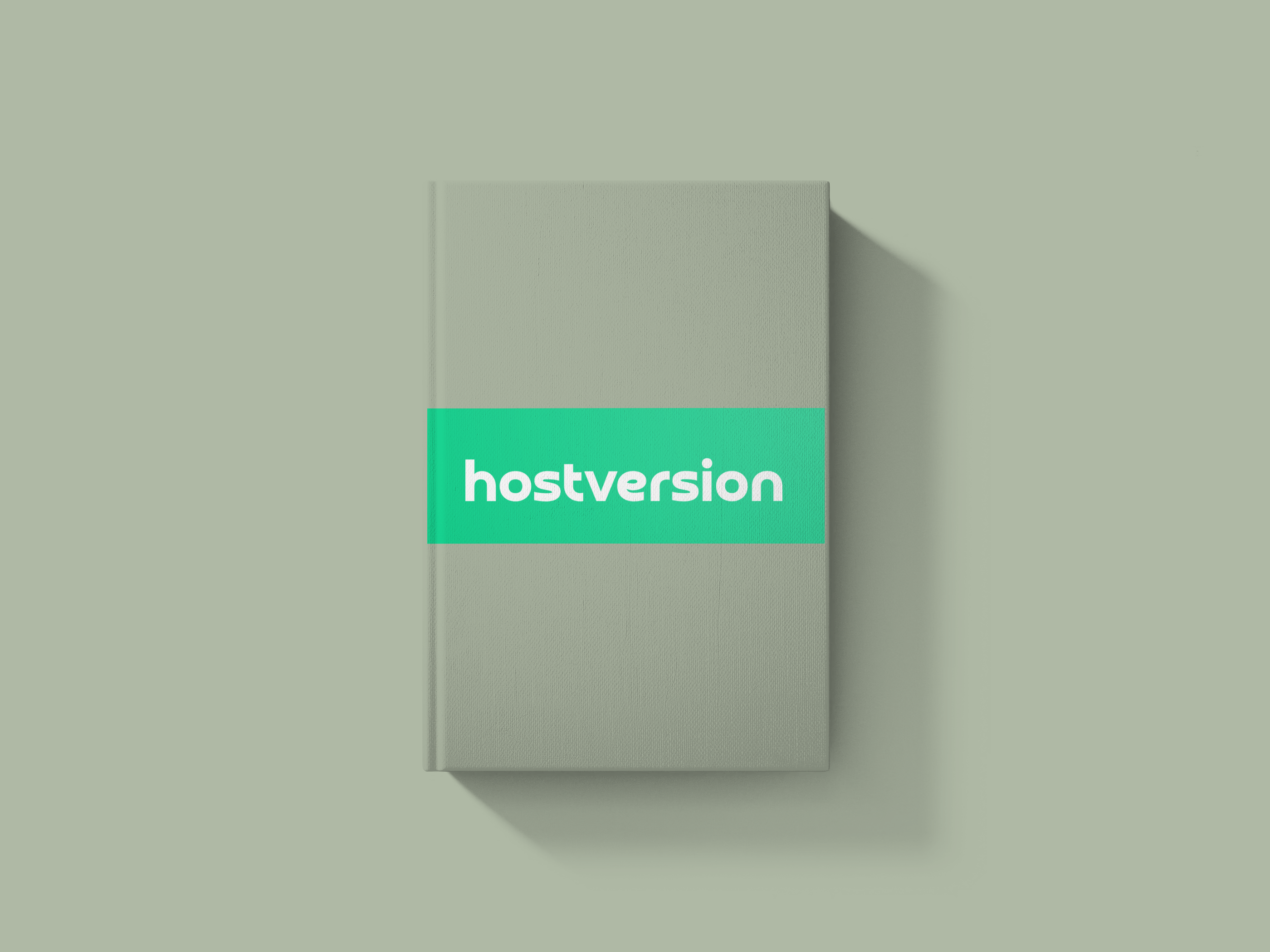 Startup lite Package Web Design 