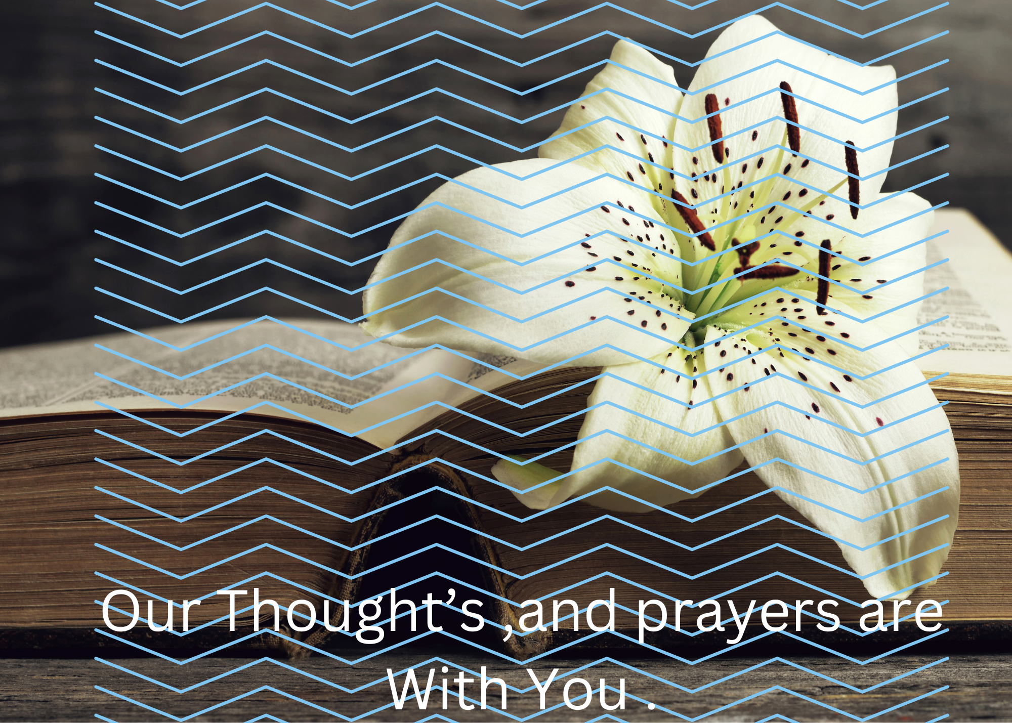 Digital Sympathy card