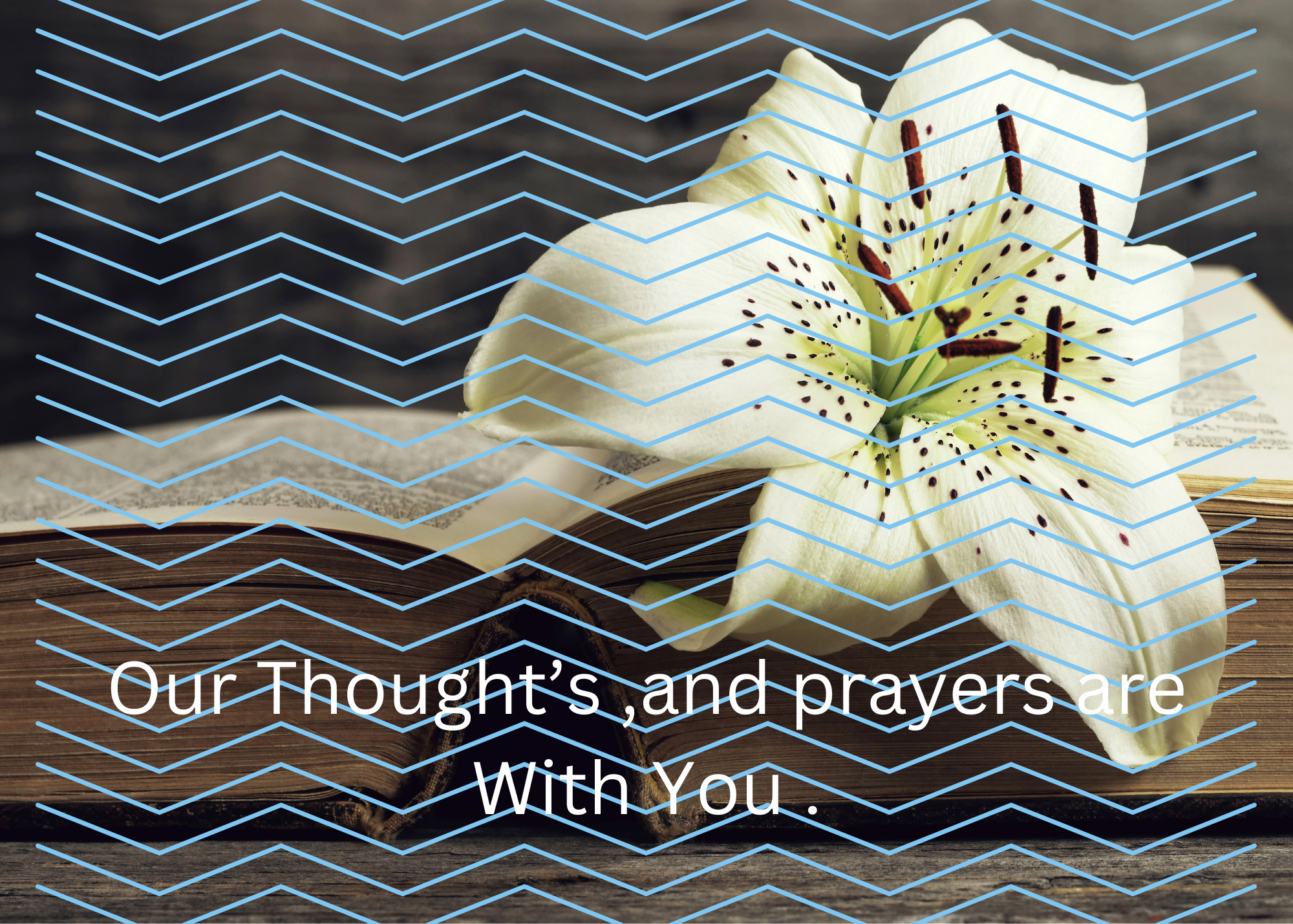 Sympathy card with lily flower