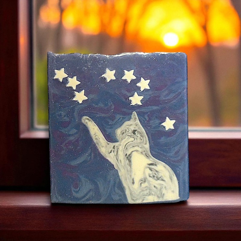 Wishing on a Star - the soap kitty and stars extend through the bar