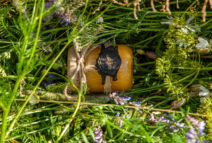 Laukinių vasaros pievų medus