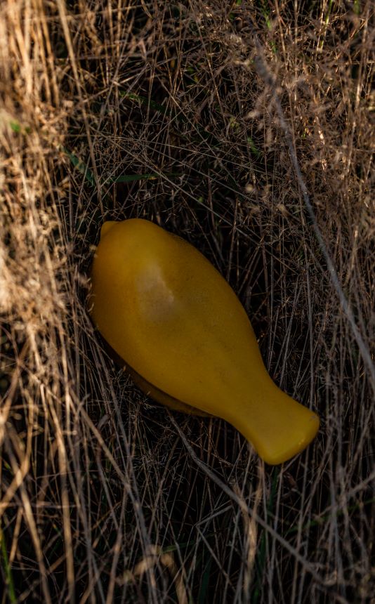 Bičių vaško dėžutė „Starta“ 