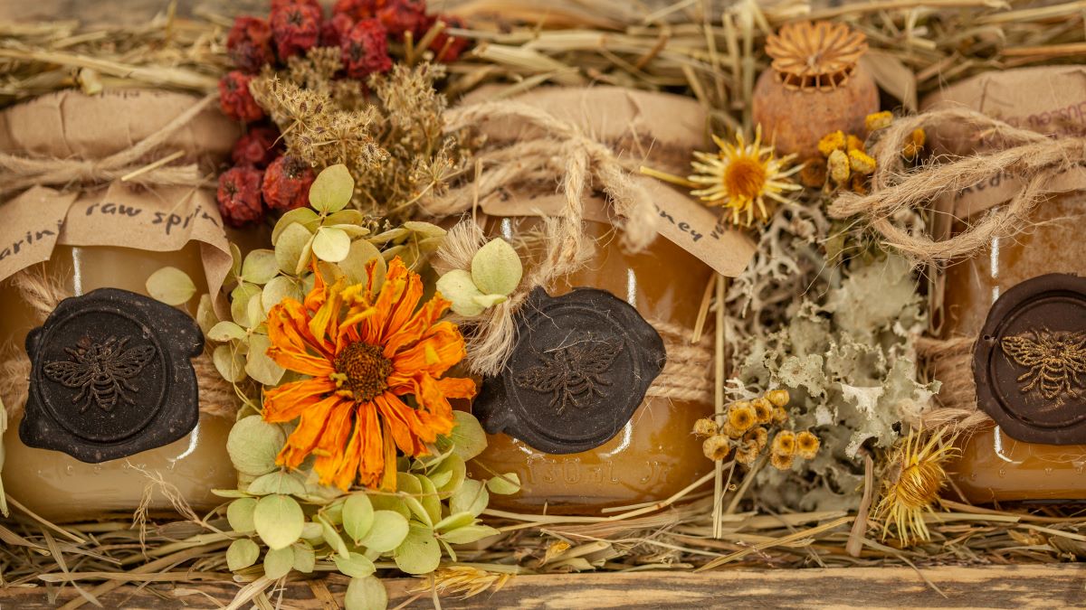 Dovana "3 metų laikai"