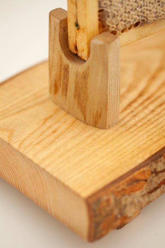 Vienetinis stovas koriui