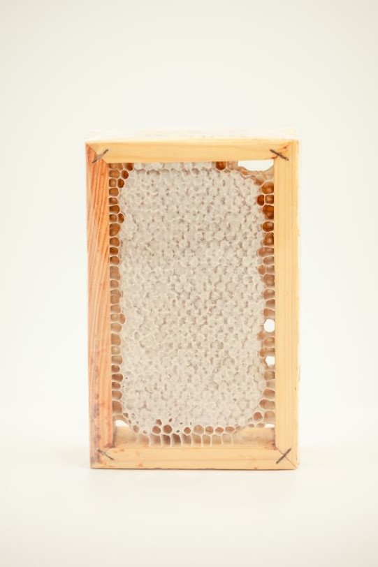 Medaus koriukas 18x12. Laukinių vasaros pievų