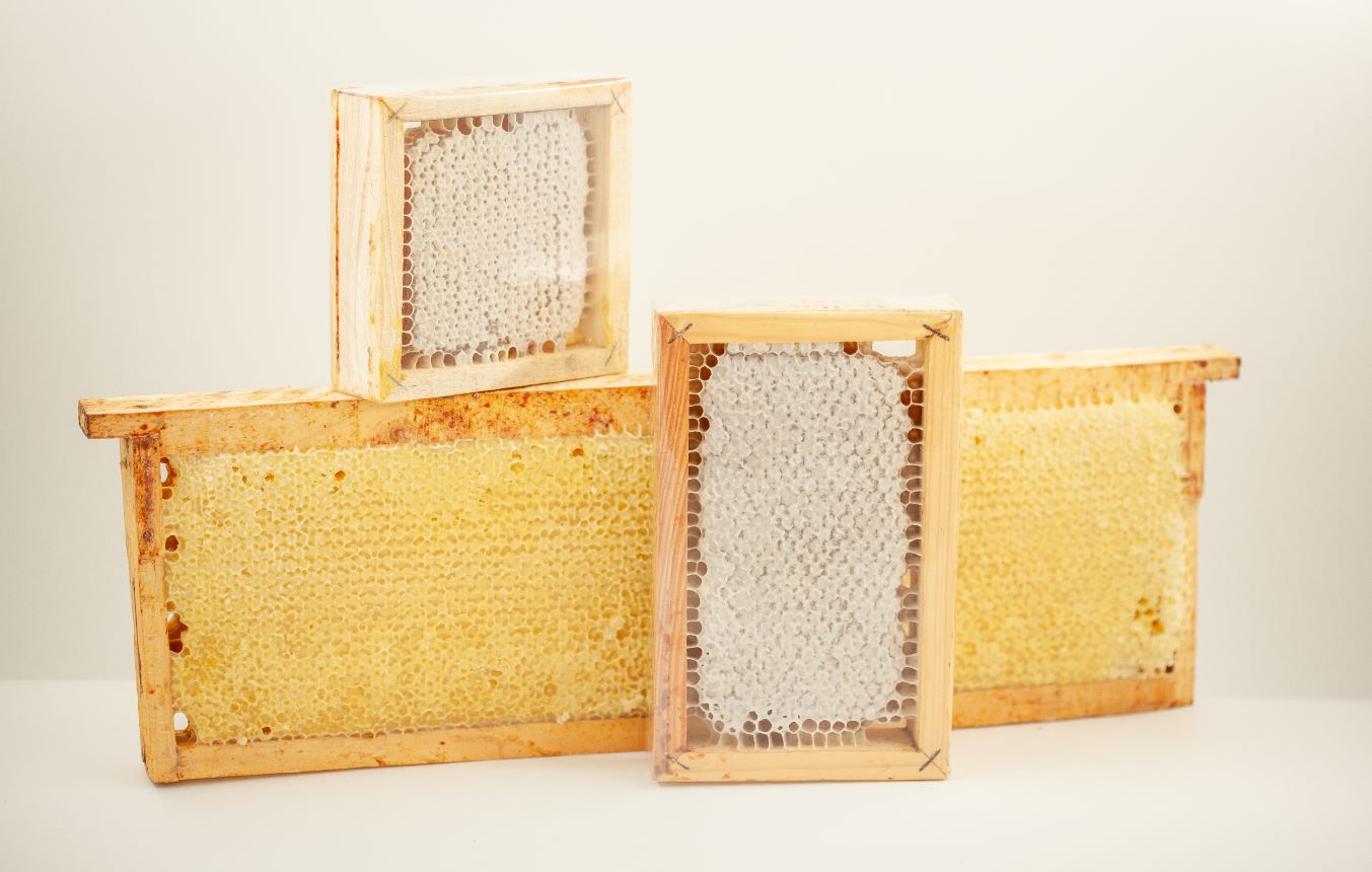 Medaus koriukas 18x12. Laukinių vasaros pievų