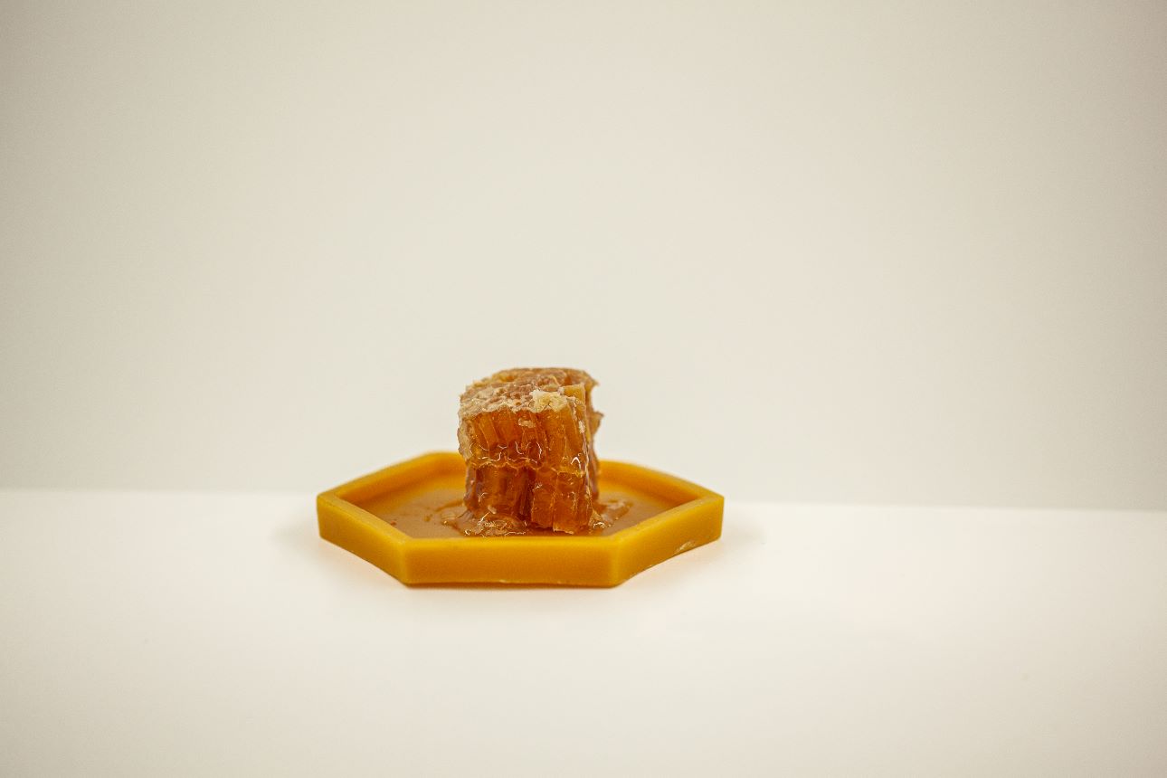 Medaus koriukas 18x12. Laukinių vasaros pievų