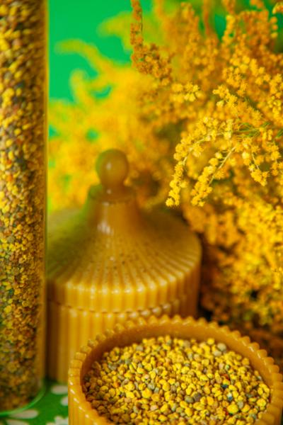 Bičių žiedadulkės