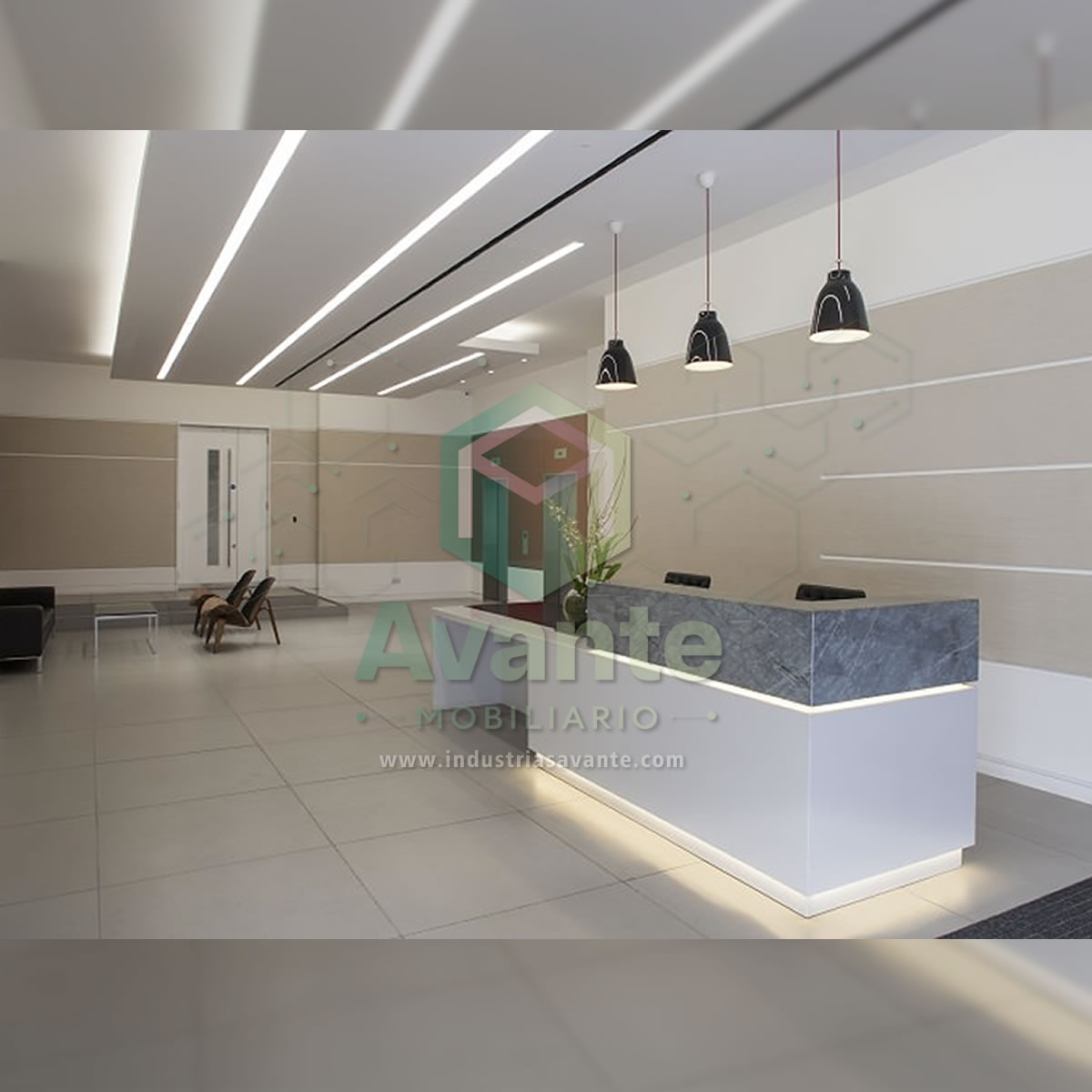 Recepción Recta Modelo Luce Bianca F888
