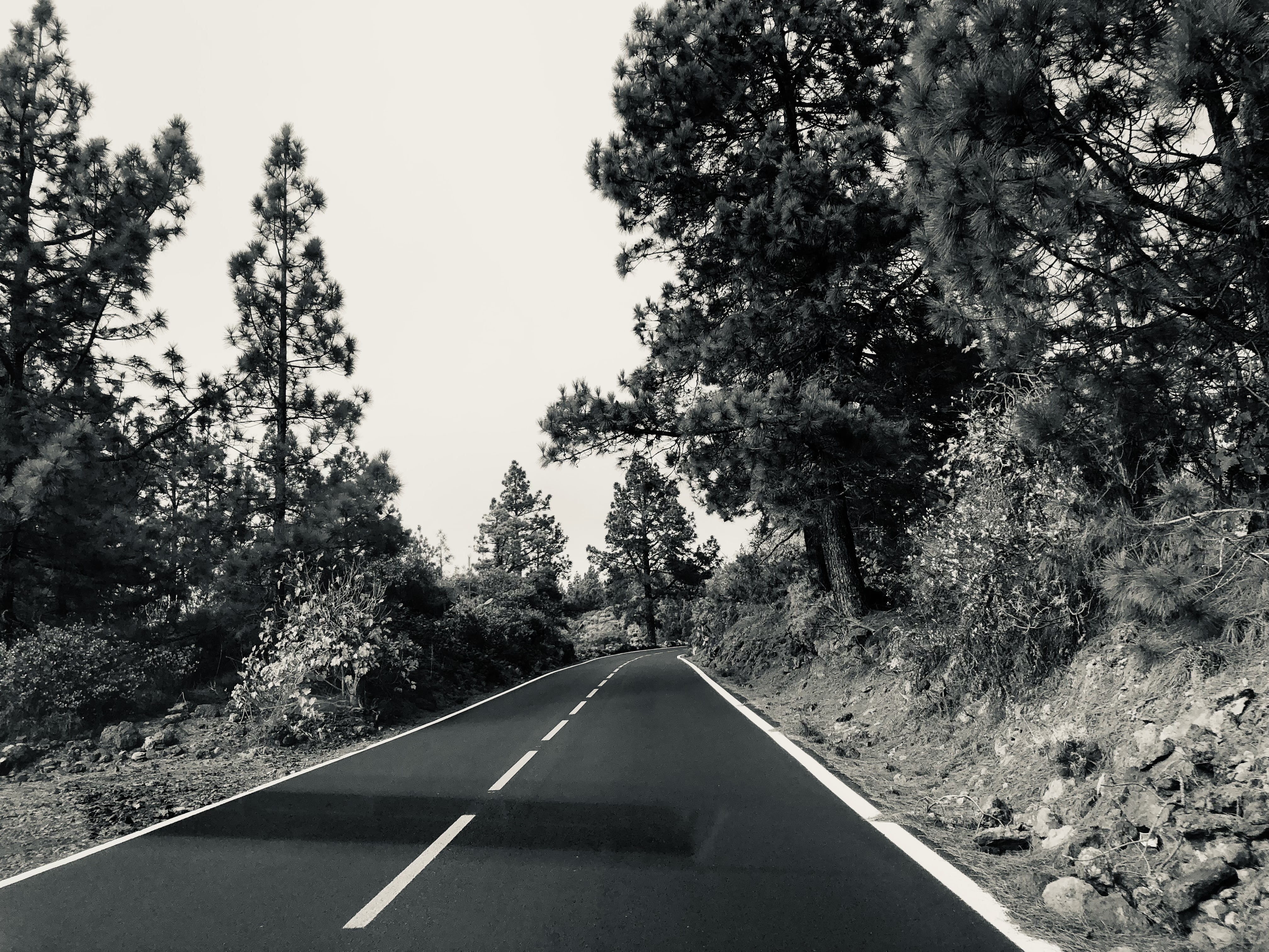 Clases individuales en shantiky