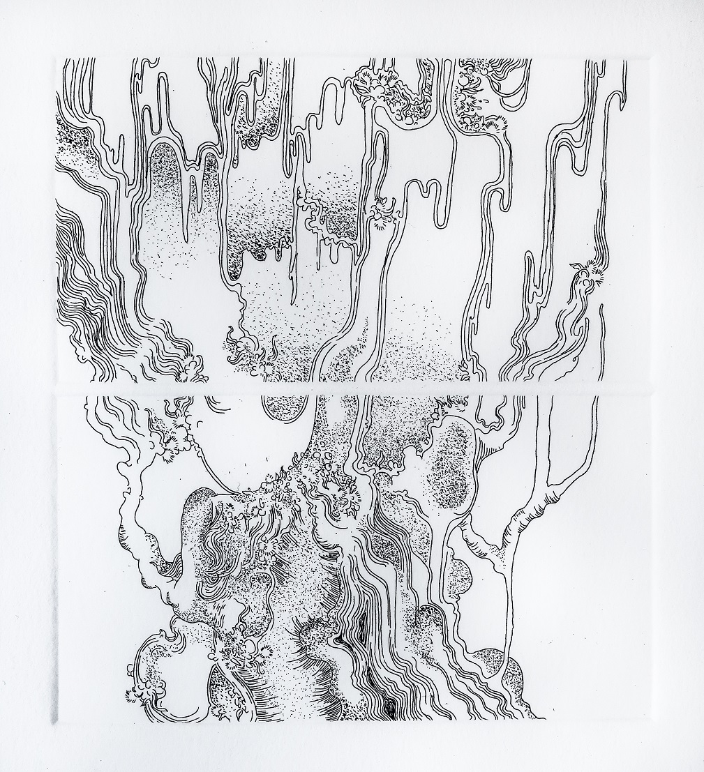 Écume, glace, racines