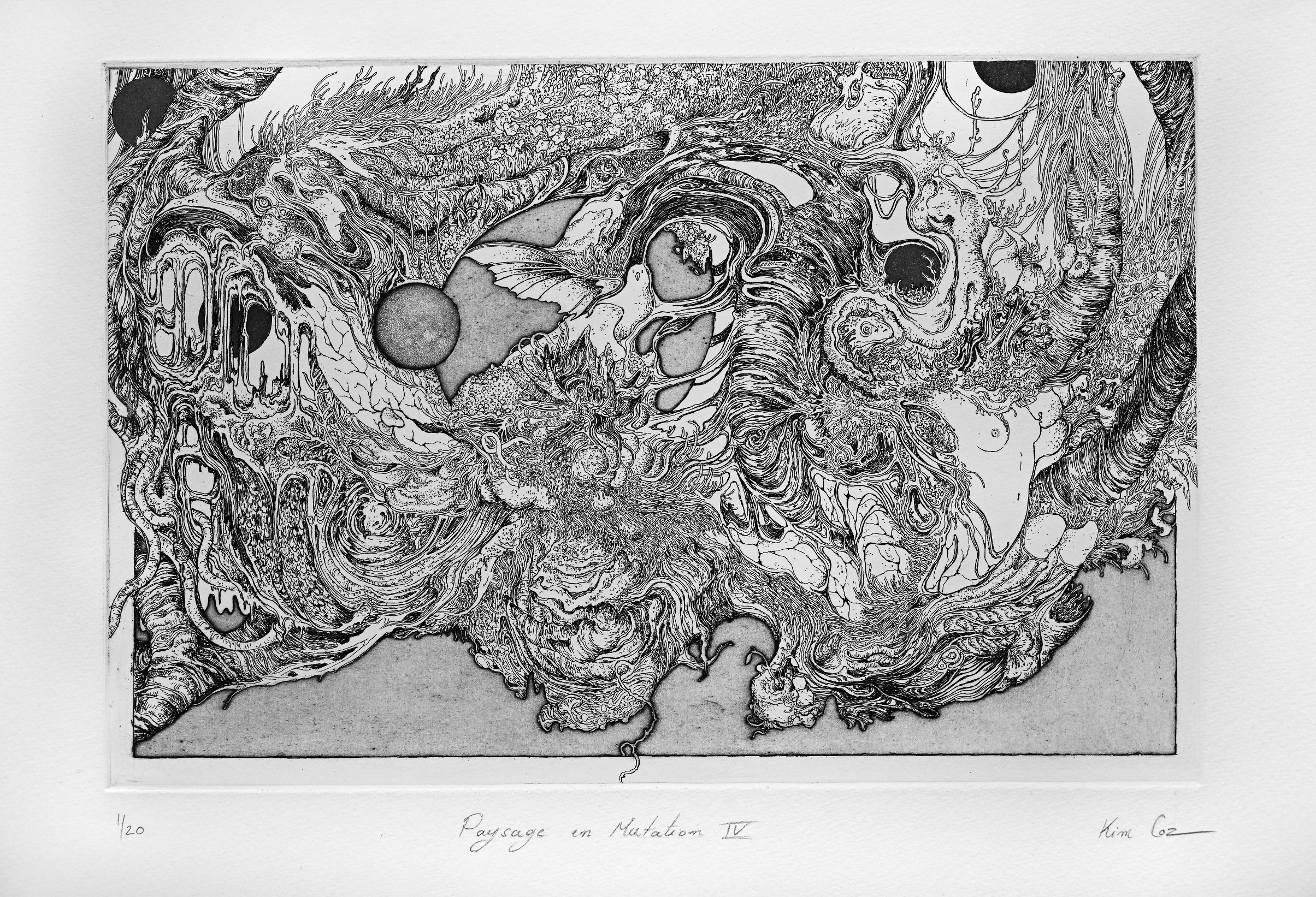 Paysage en mutation IV