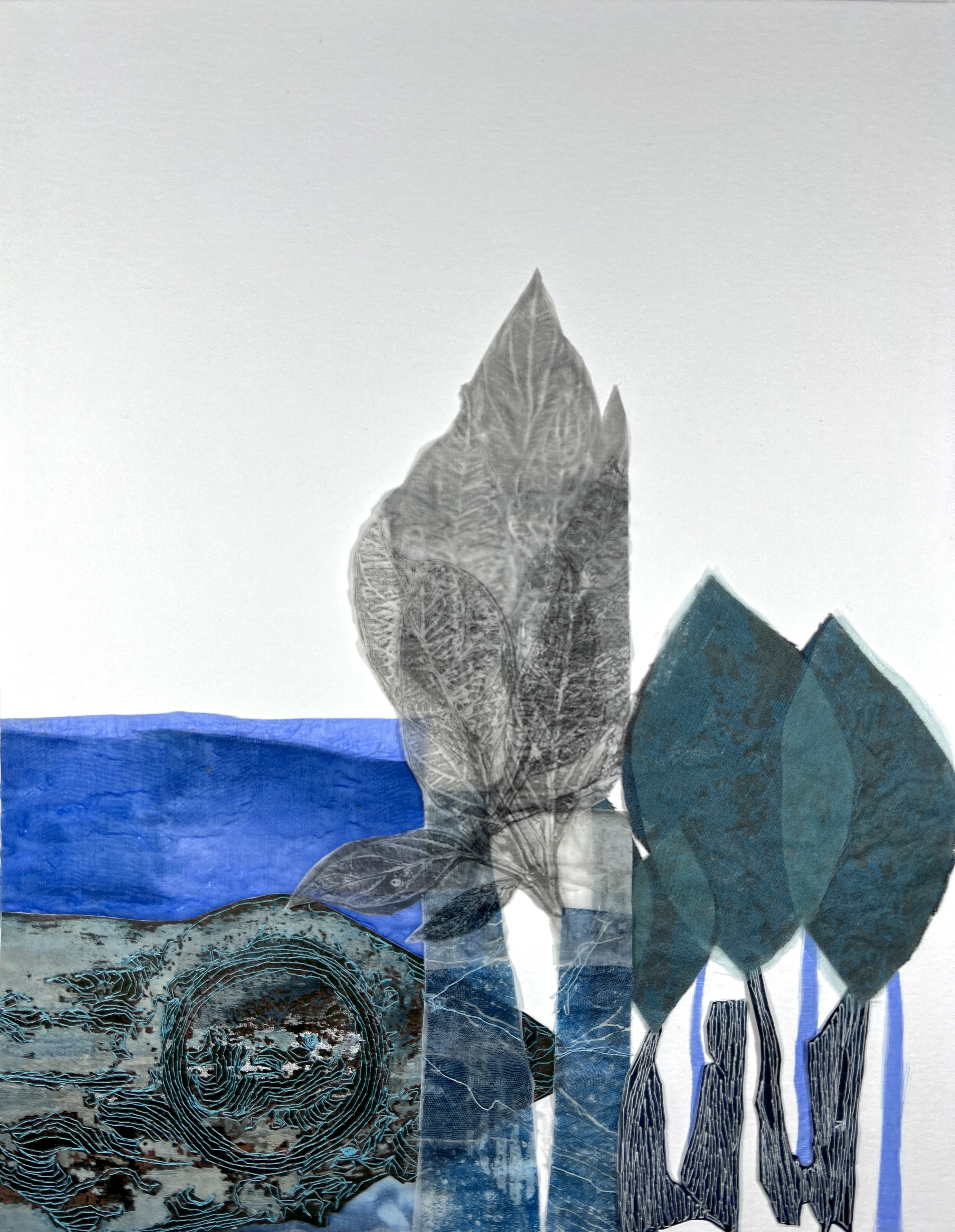 Underwater forest #1