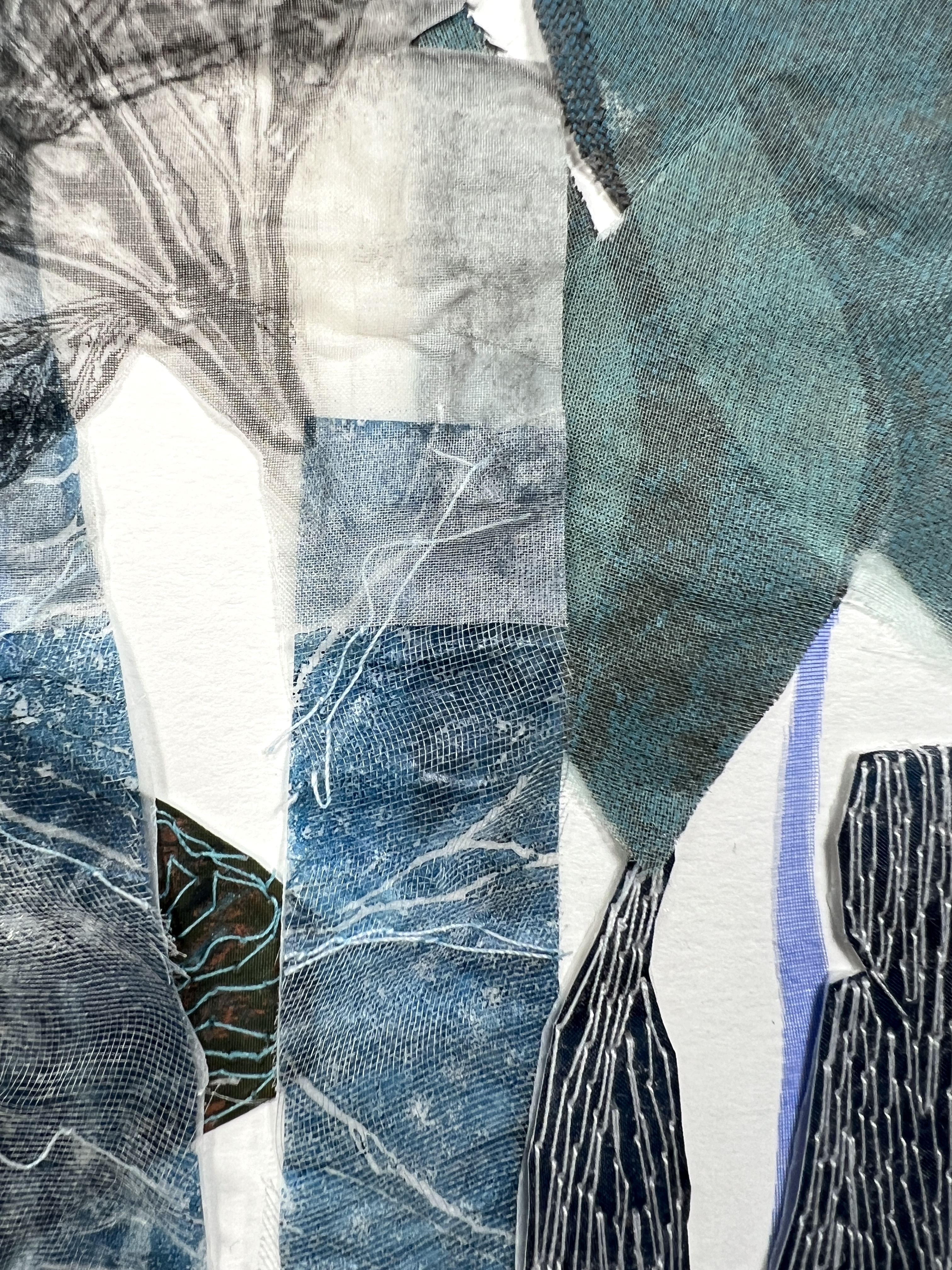 Underwater forest #1