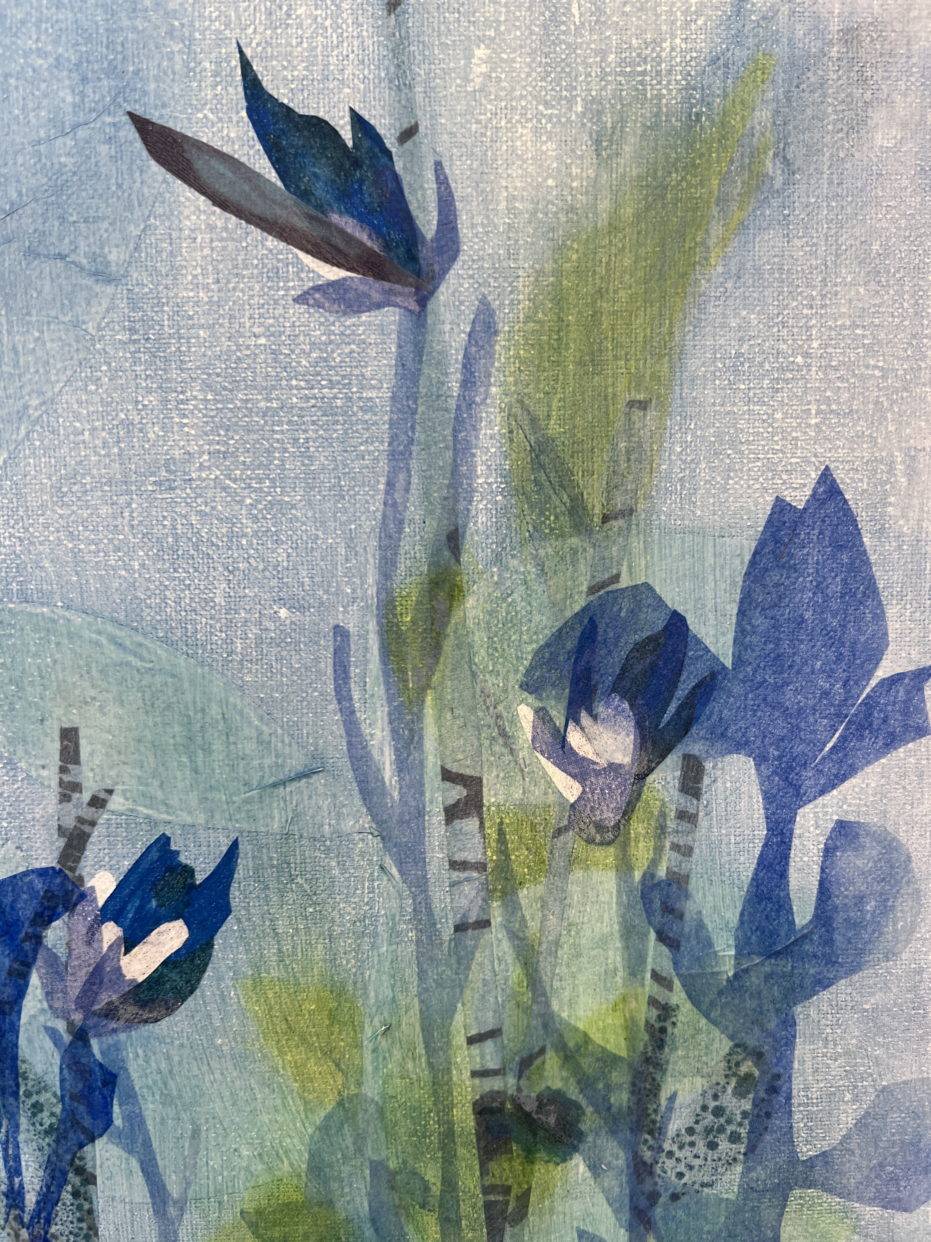 Small blue bird