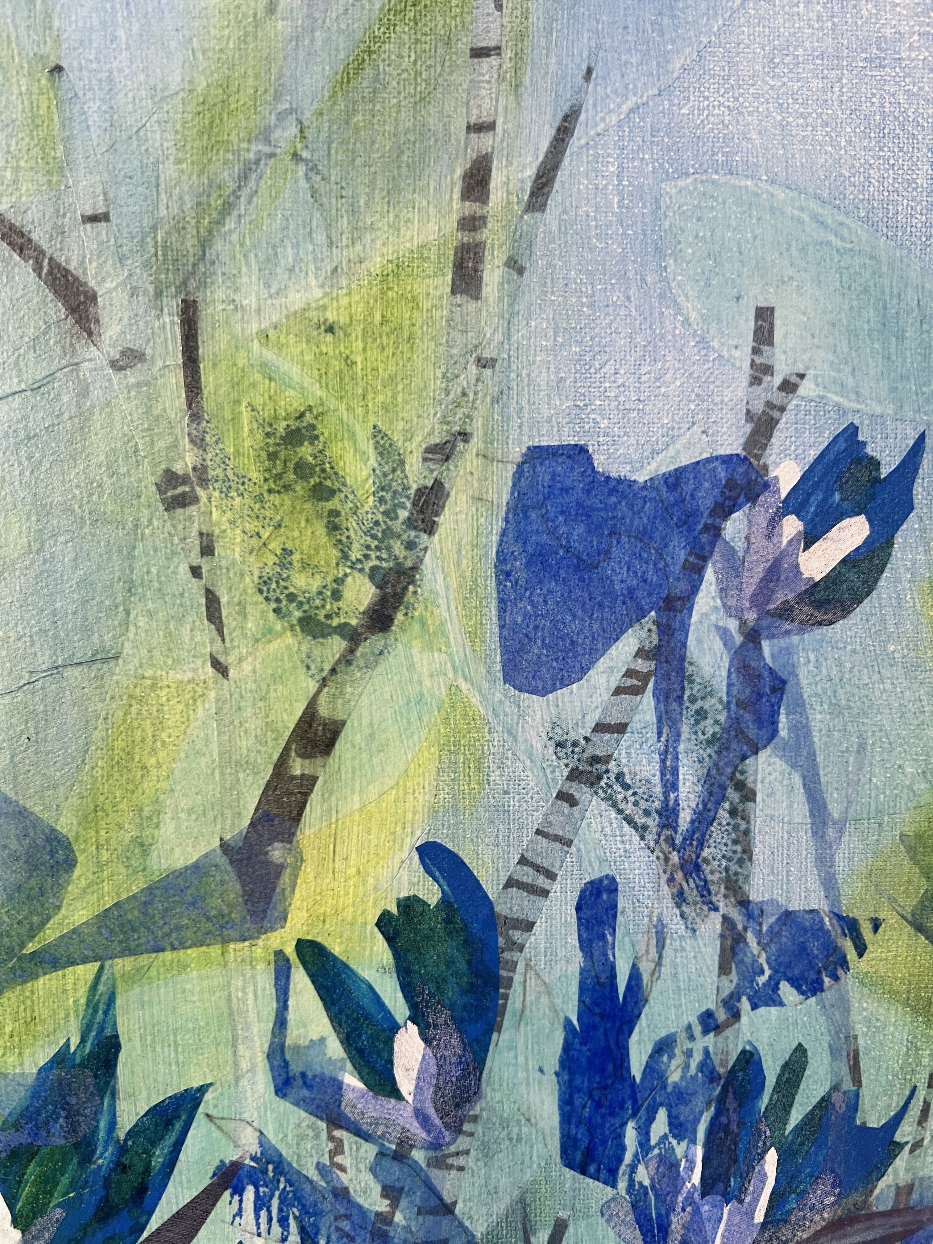 Small blue bird