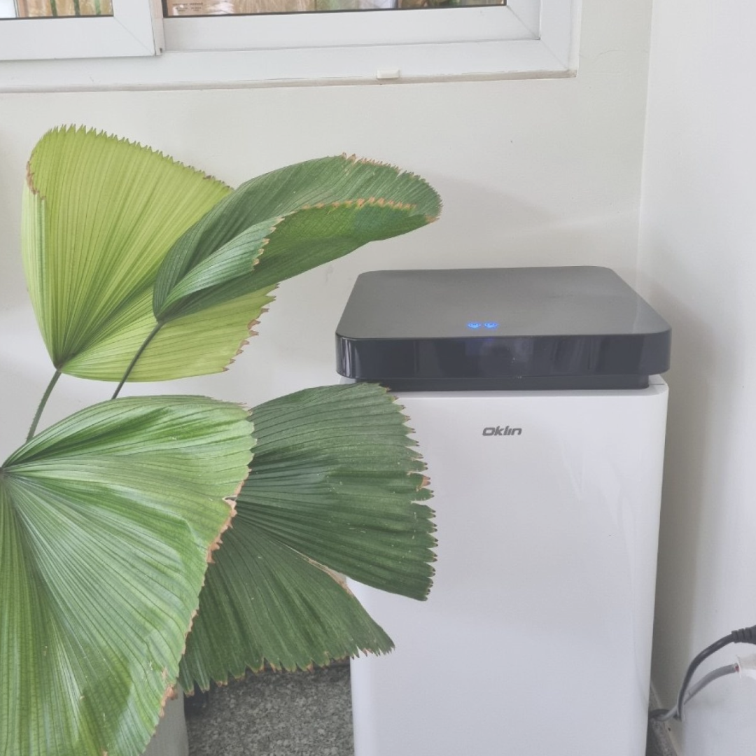 Biodigesteur GG02 - jusqu'à 6 kg par jour