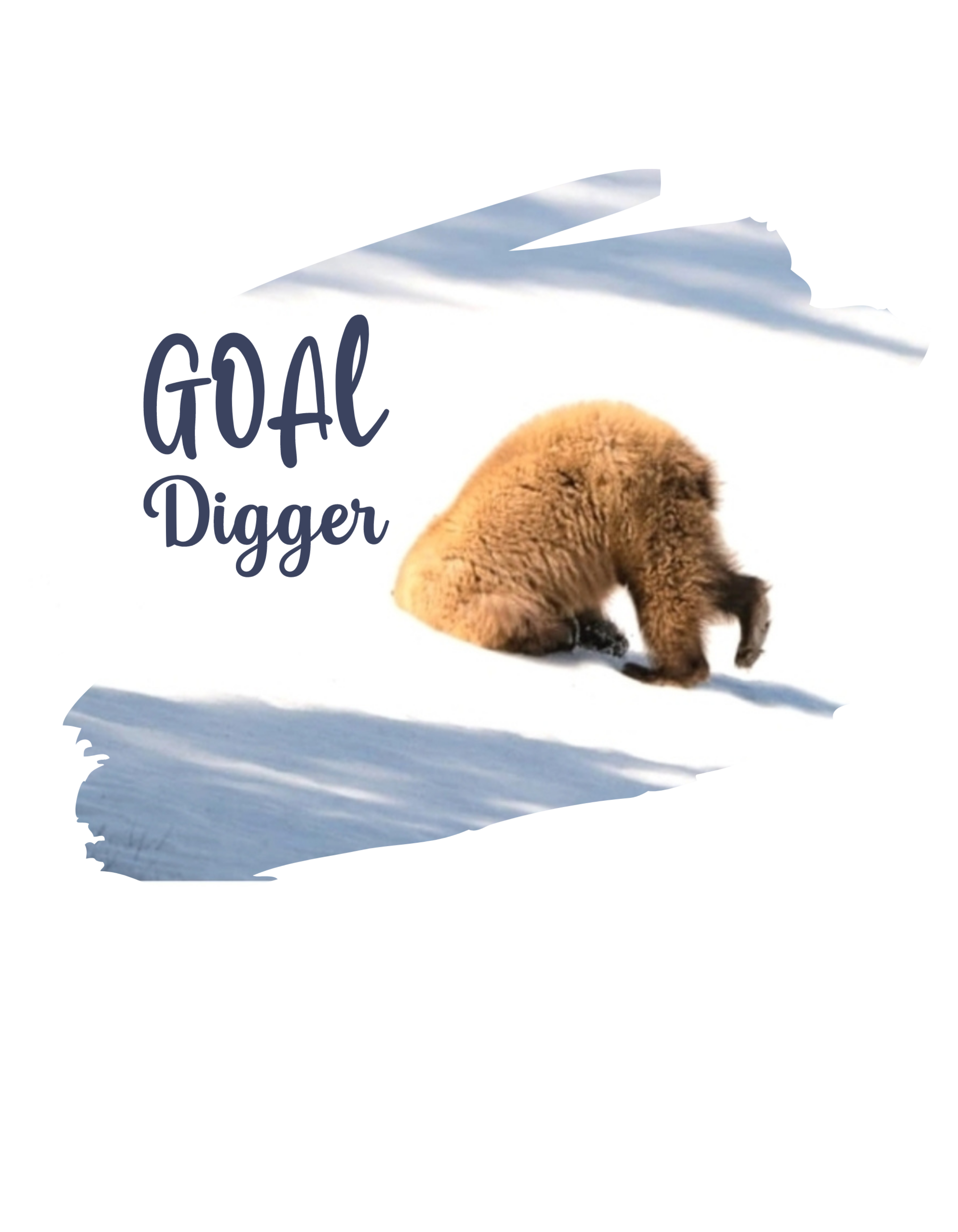 Goal Digger