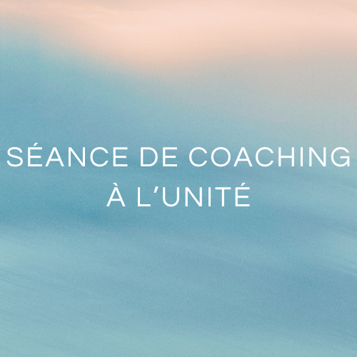 Séance de coaching