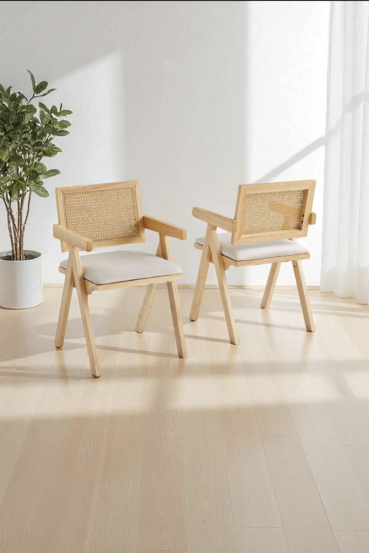 Chaise Rosina