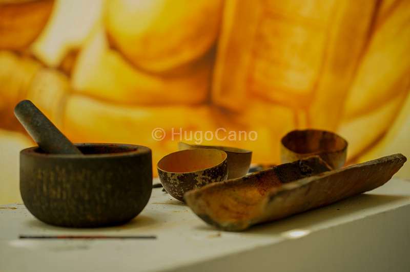 Tazas ecológicas