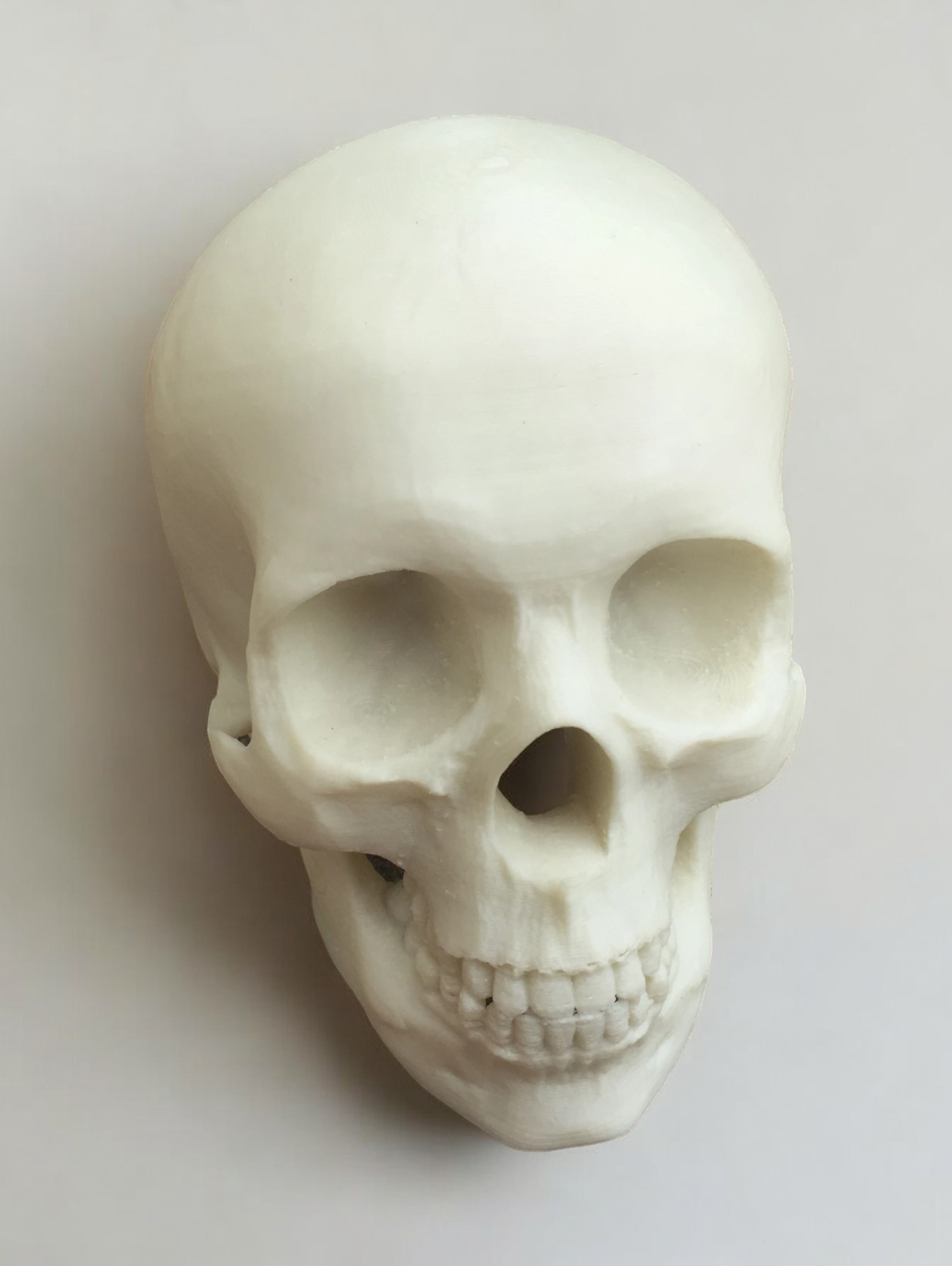 Kaukolės modelis