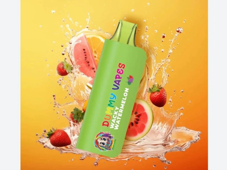 Dummy Vapes 8000 Puffs Con usb