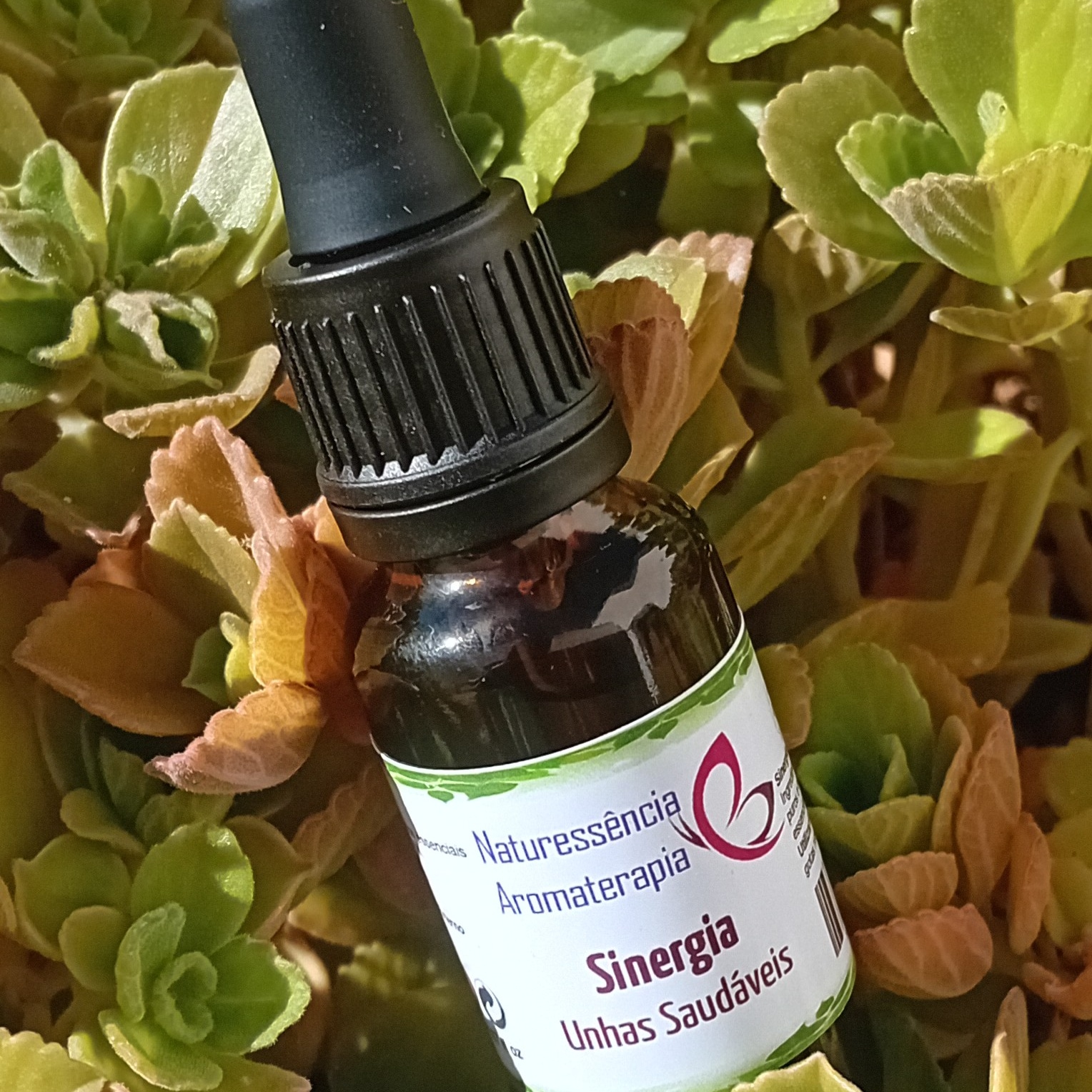 Sinergia uñas sanas