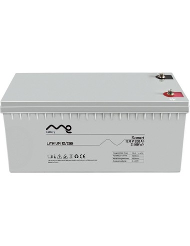 BATERÍA LIFEPO4 LITIO