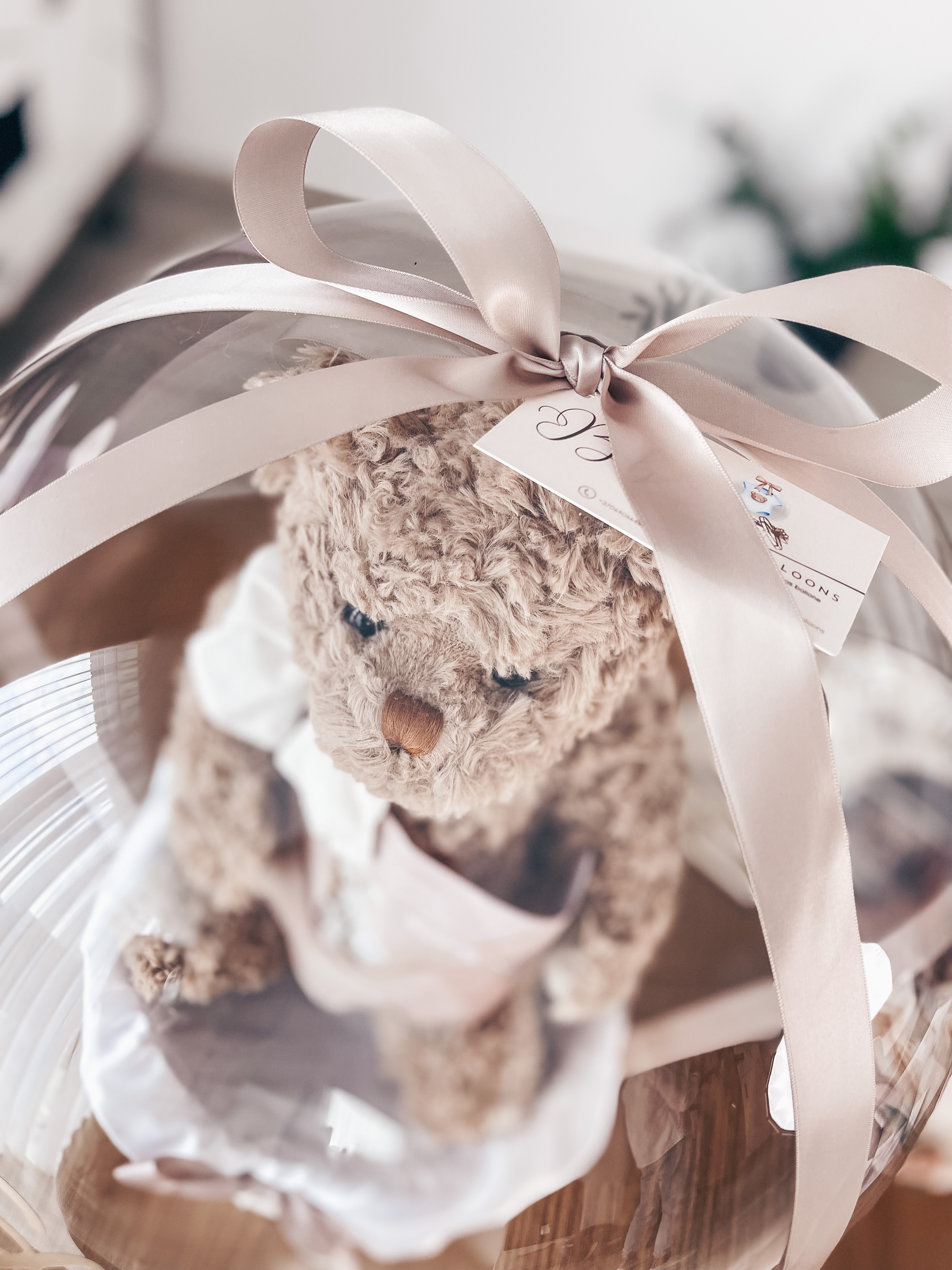 Dovana "Bukowski Doux Ethan"