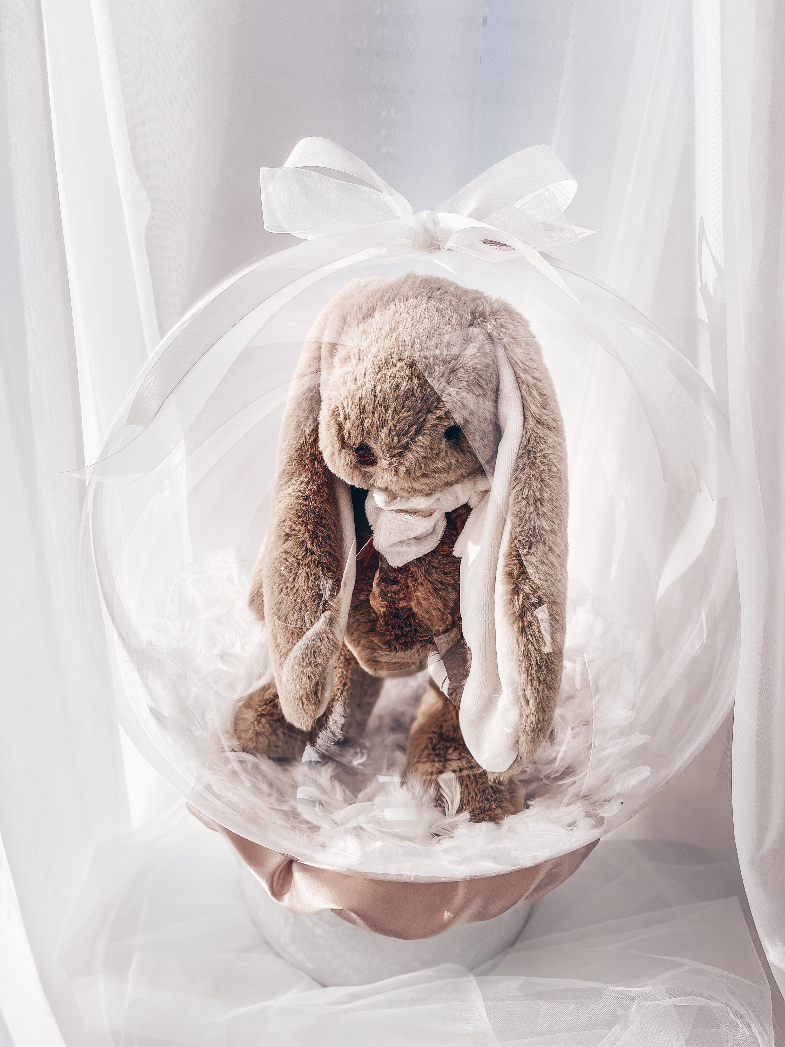 Dovana "Bukowski zuikis"