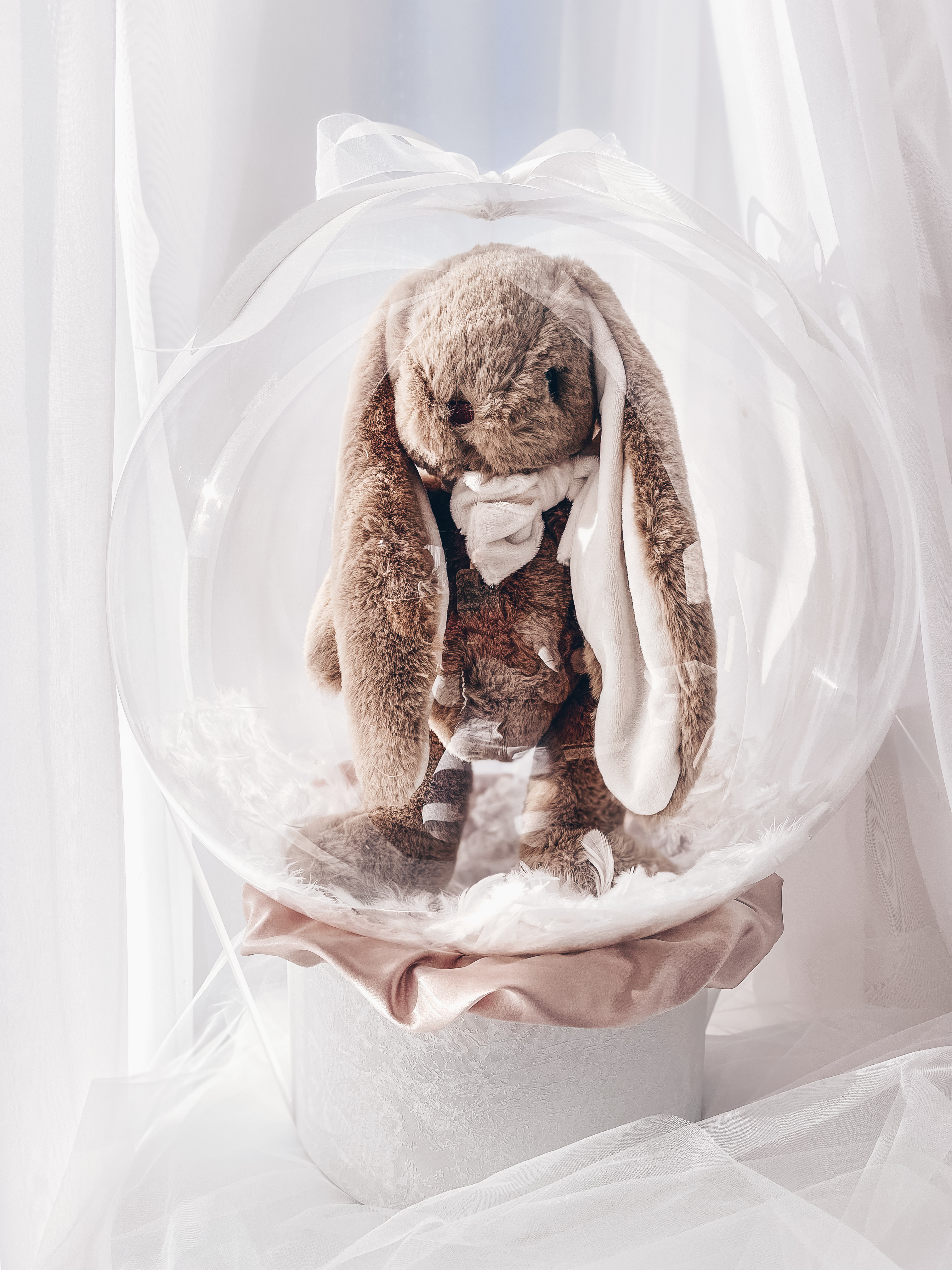 Dovana "Bukowski zuikis"