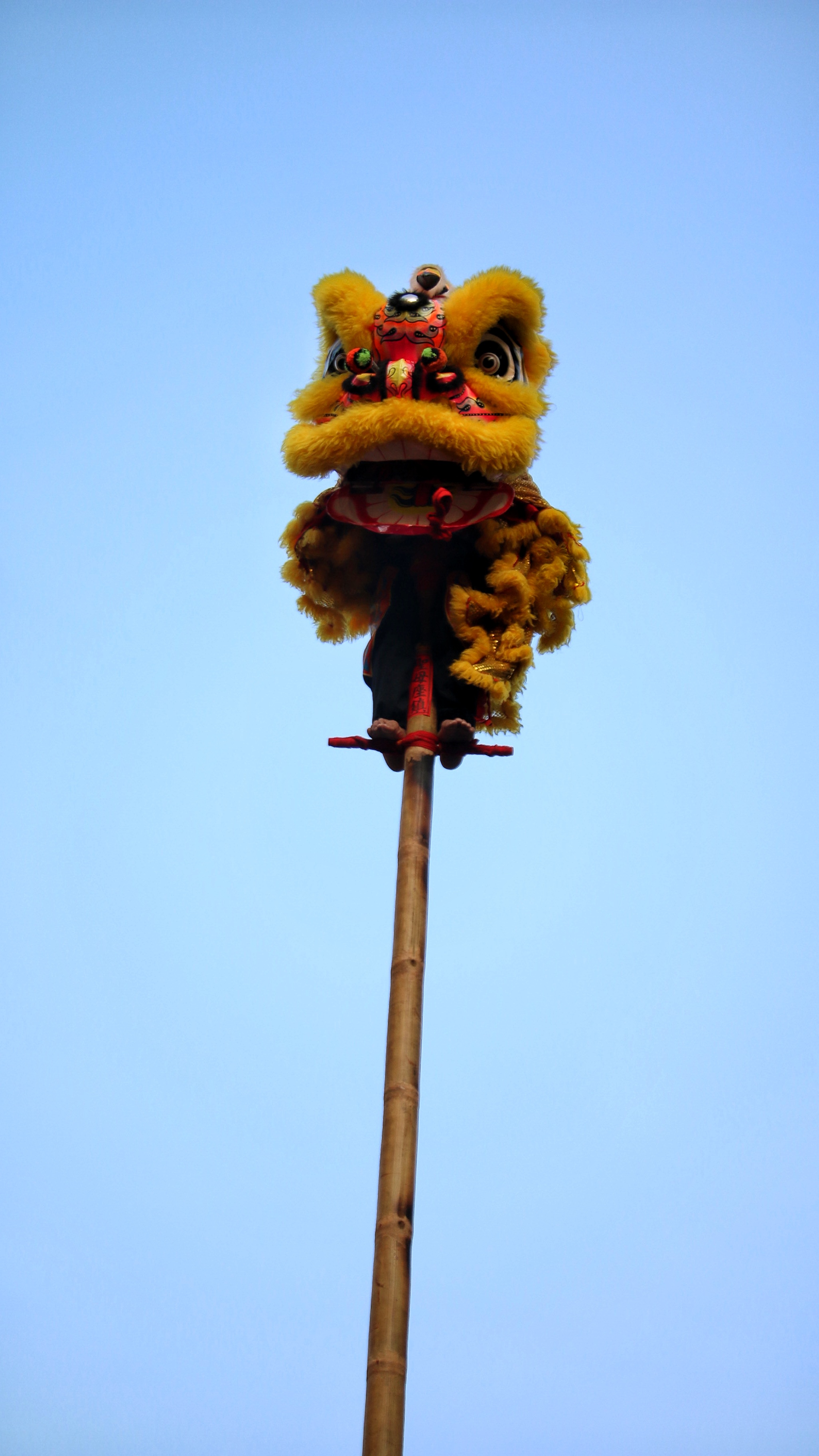 Photo Experience: Chinatown Delights