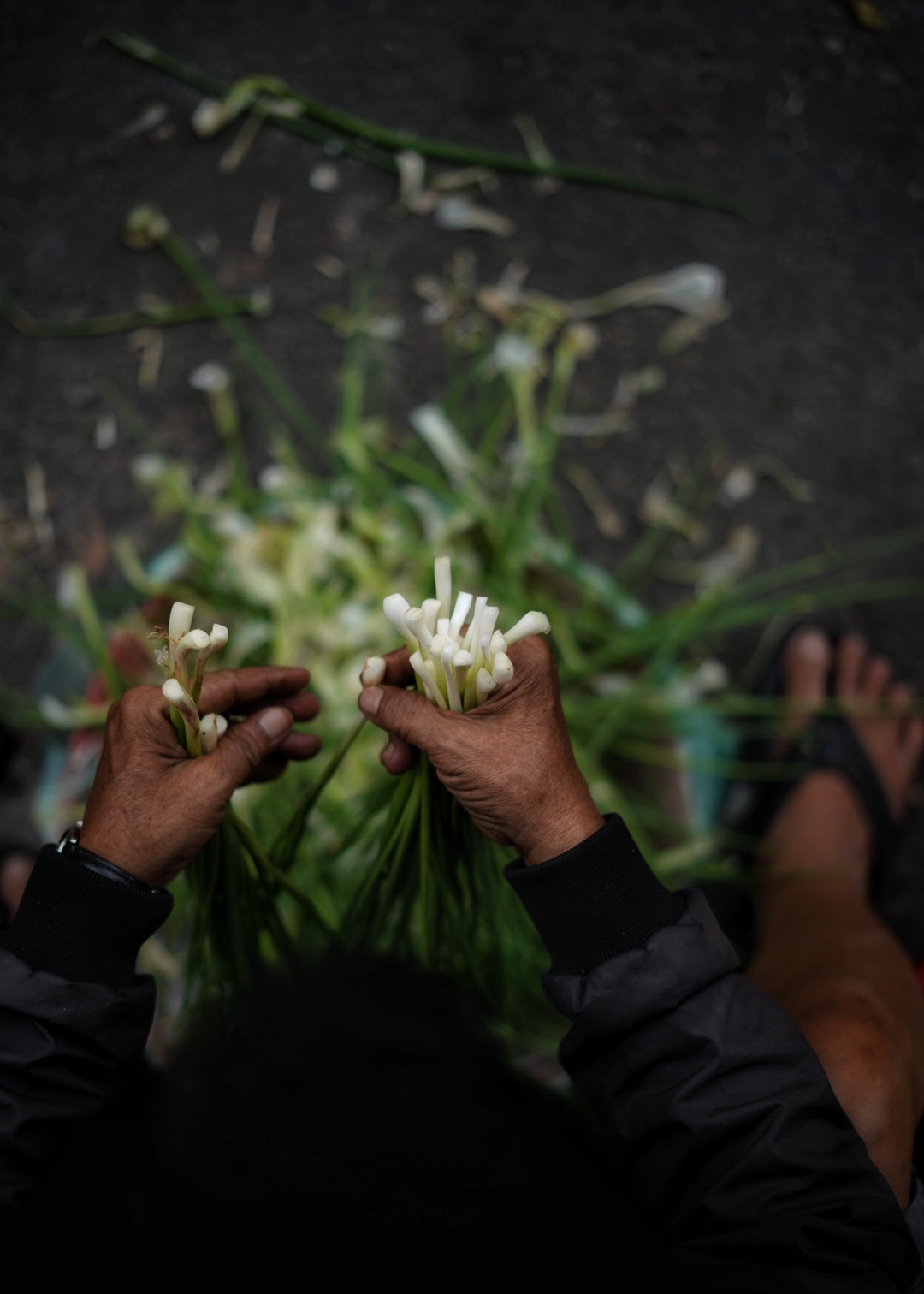 Photo Experience: Chinatown Delights