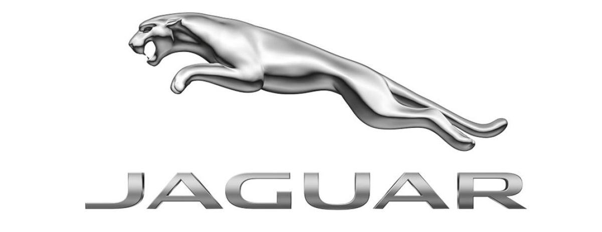 Land Rover/Jaguar Module Cloning