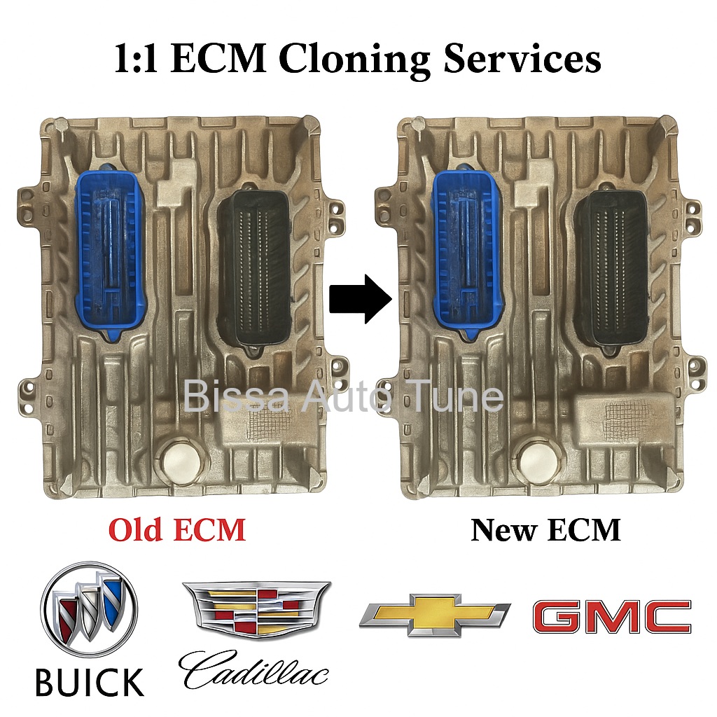 GM Module Cloning