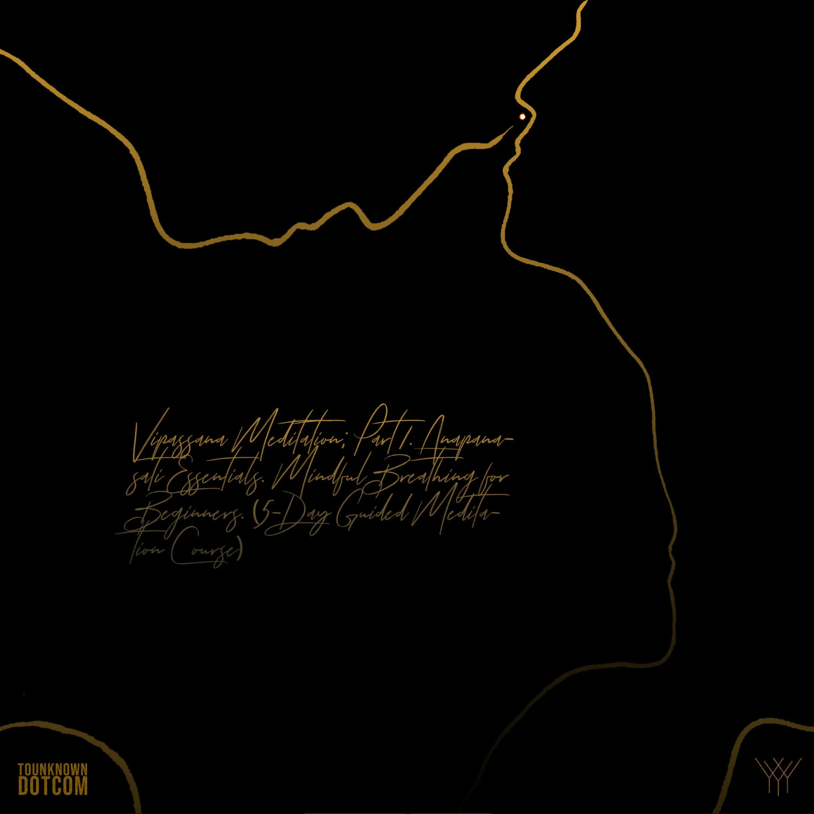 Vipassana Meditation Part 1: Anapanasati Essentials