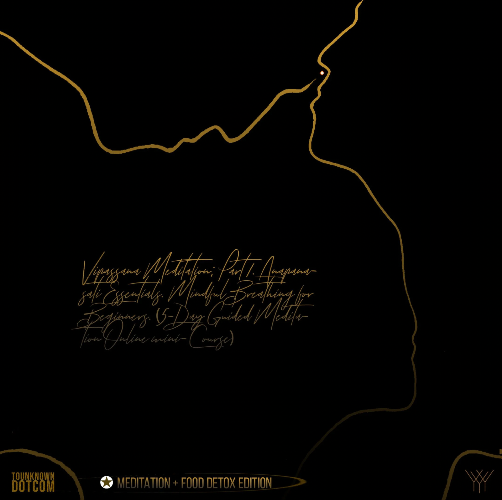 Vipassana Meditation Part 1: Anapanasati Essentials (Food Detox Edition)