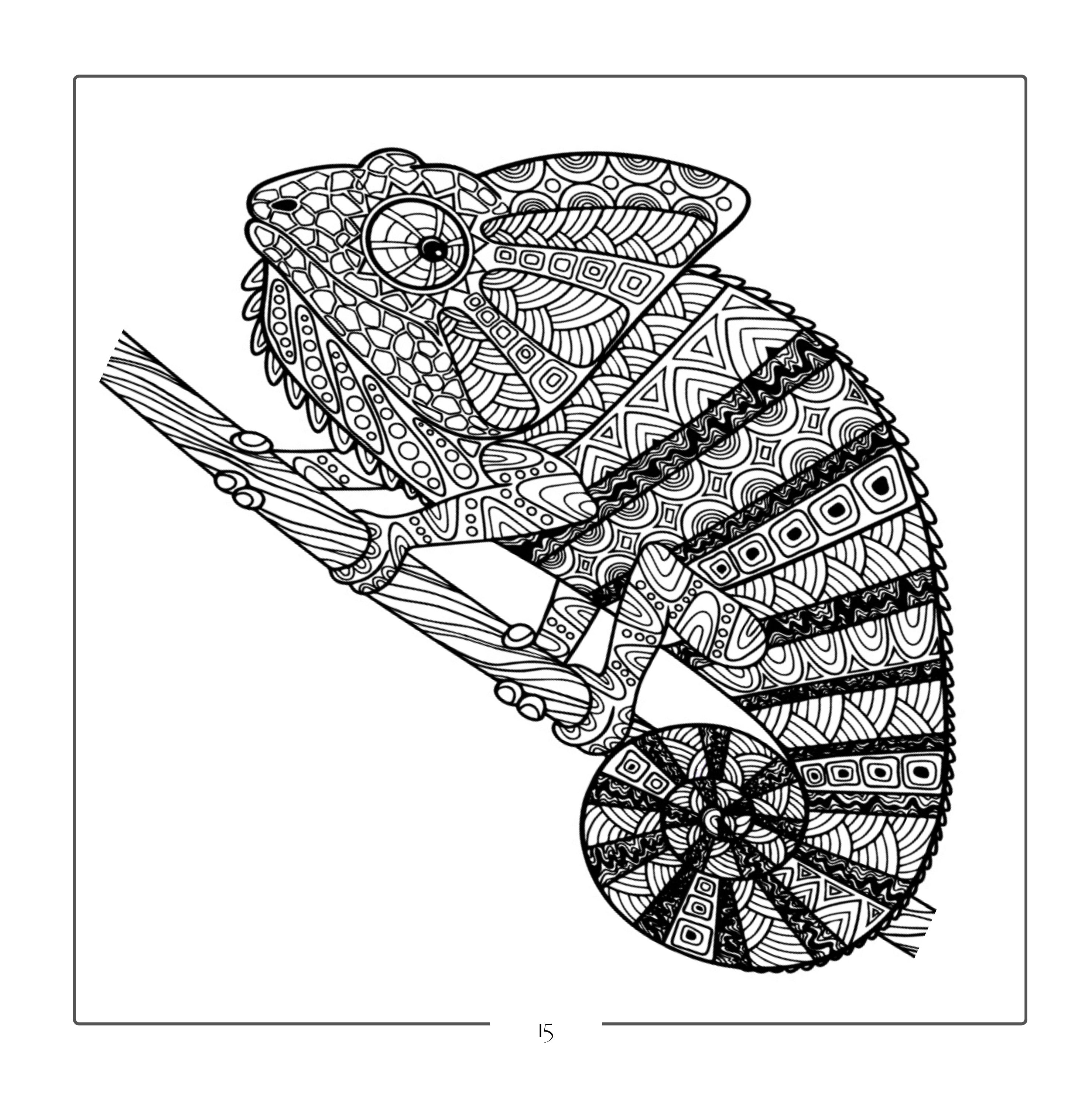 Inspirational Coloring Book for Teenage Boys - with Original Motivational Quotes