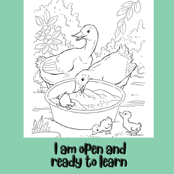 Inspirational Coloring Journal for Kids - with Positive & Inspiring Mindfulness Affirmations