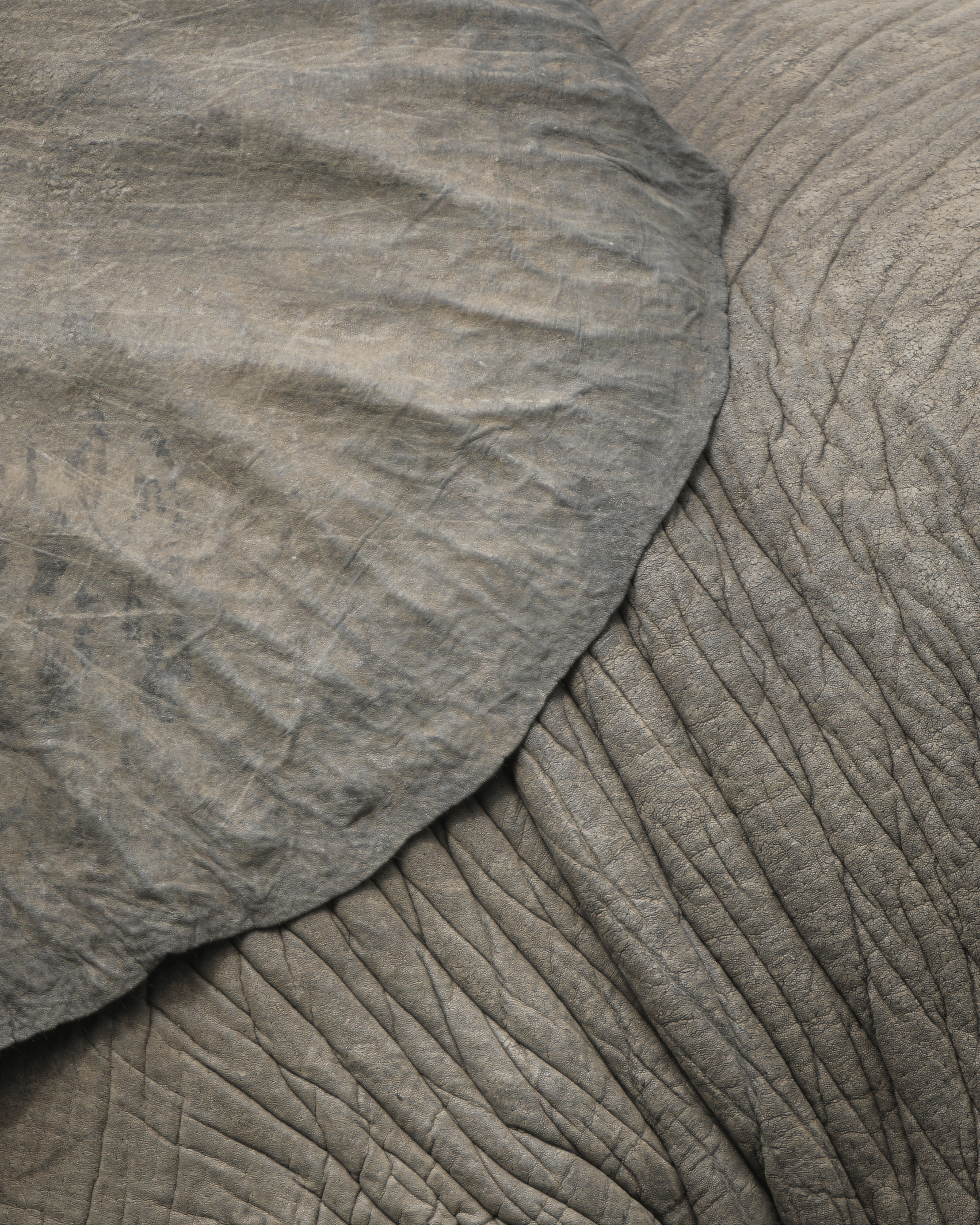 Hahnemuhle Fine Art - Canvas Prints