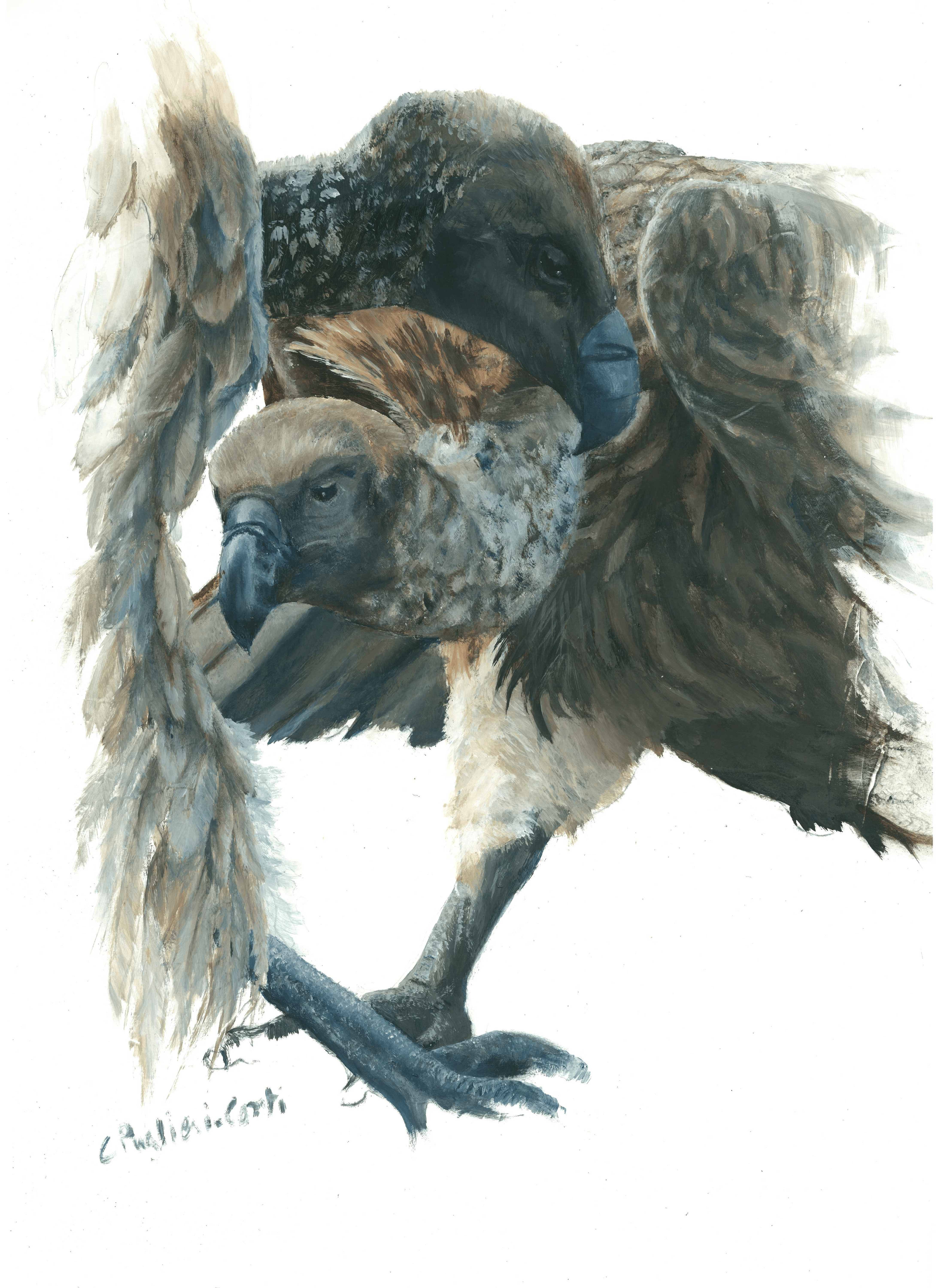 A3 Paper Art - Prints