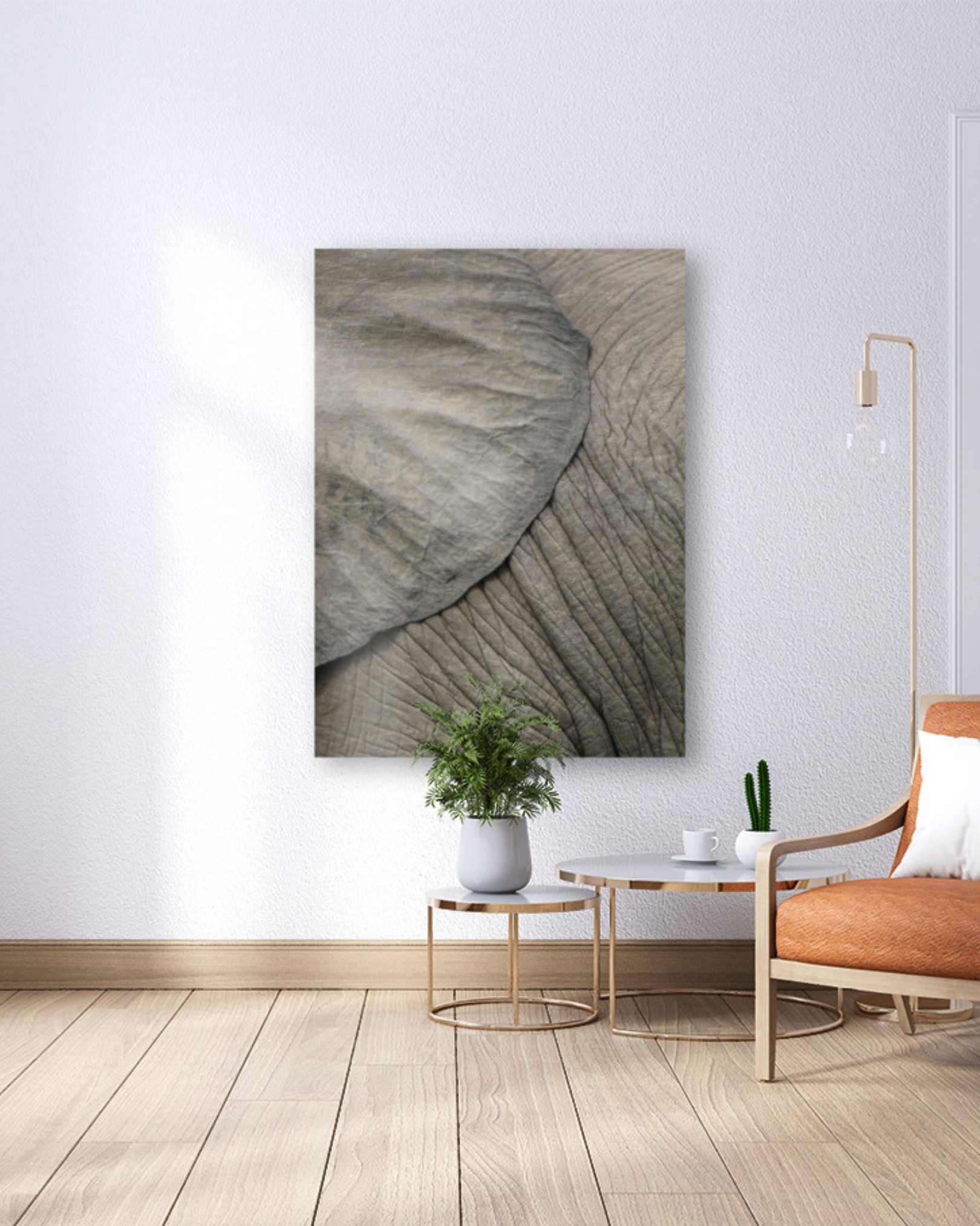 Hahnemuhle fine art canvas prints